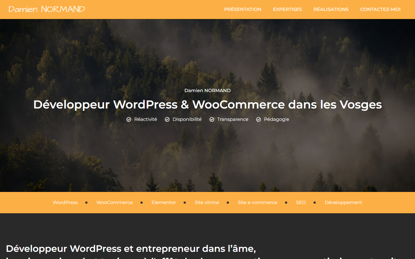 Aperçu du site de Damien NORMAND