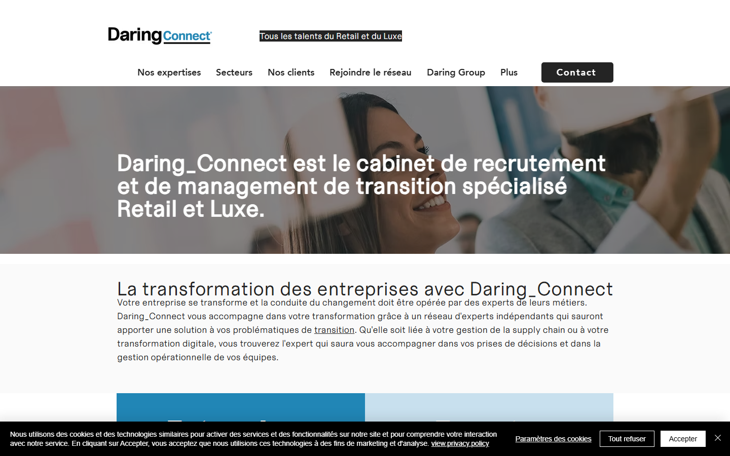 Aperçu du site de DaringCo