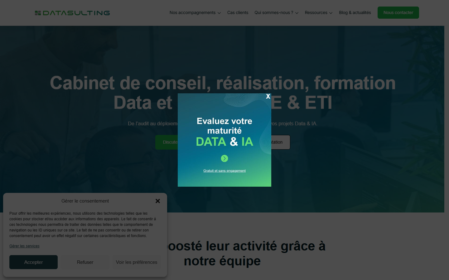 Aperçu du site de DATASULTING