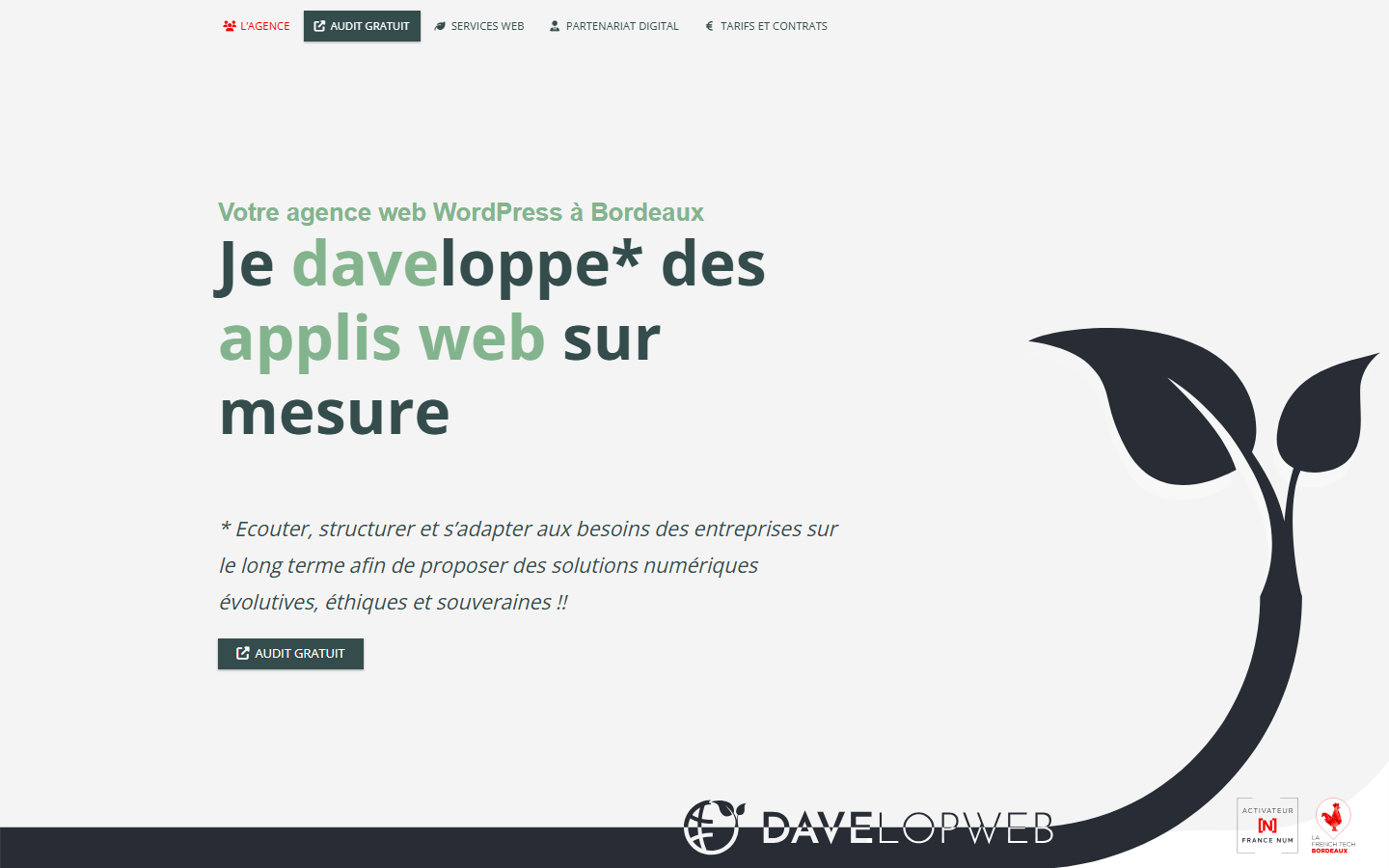 Aperçu du site de DAVELOPWEB