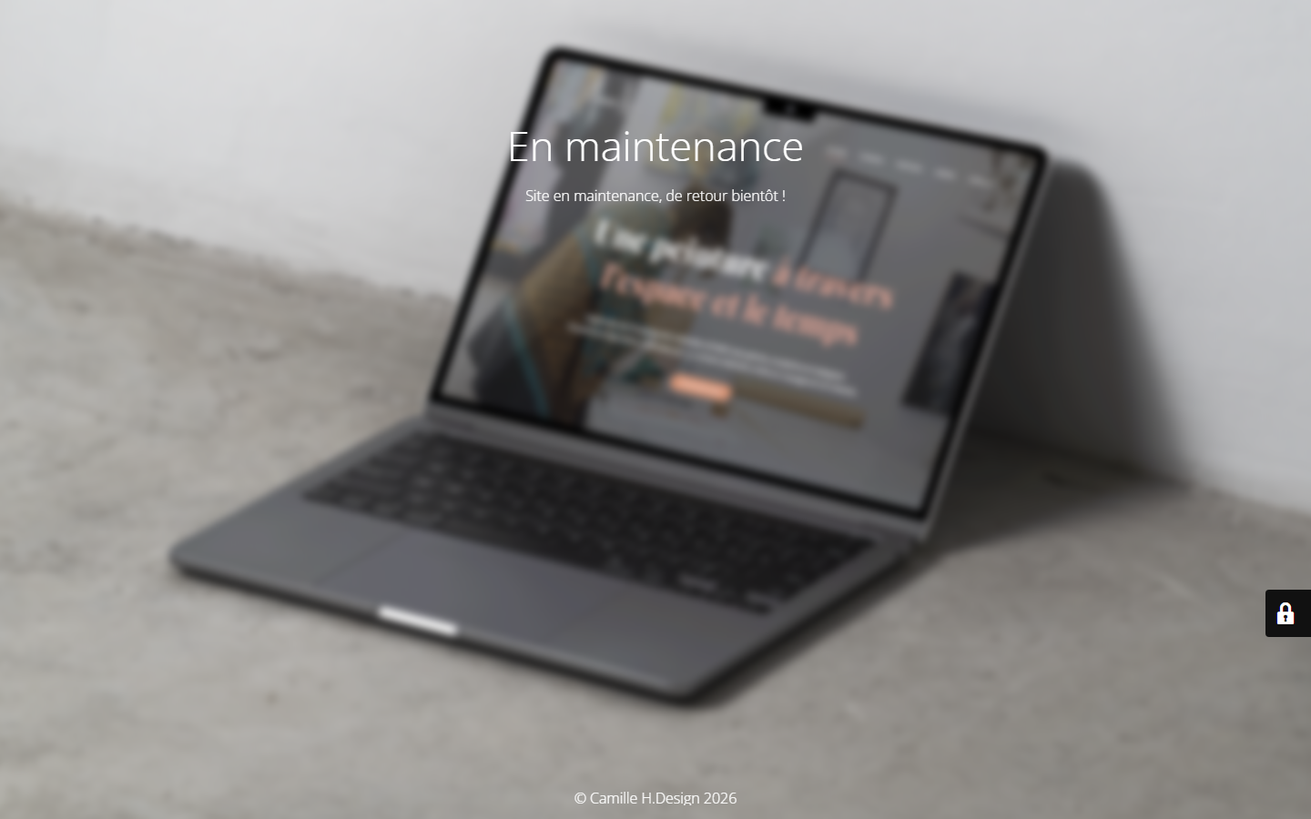 Aperçu du site de Camille H.Design