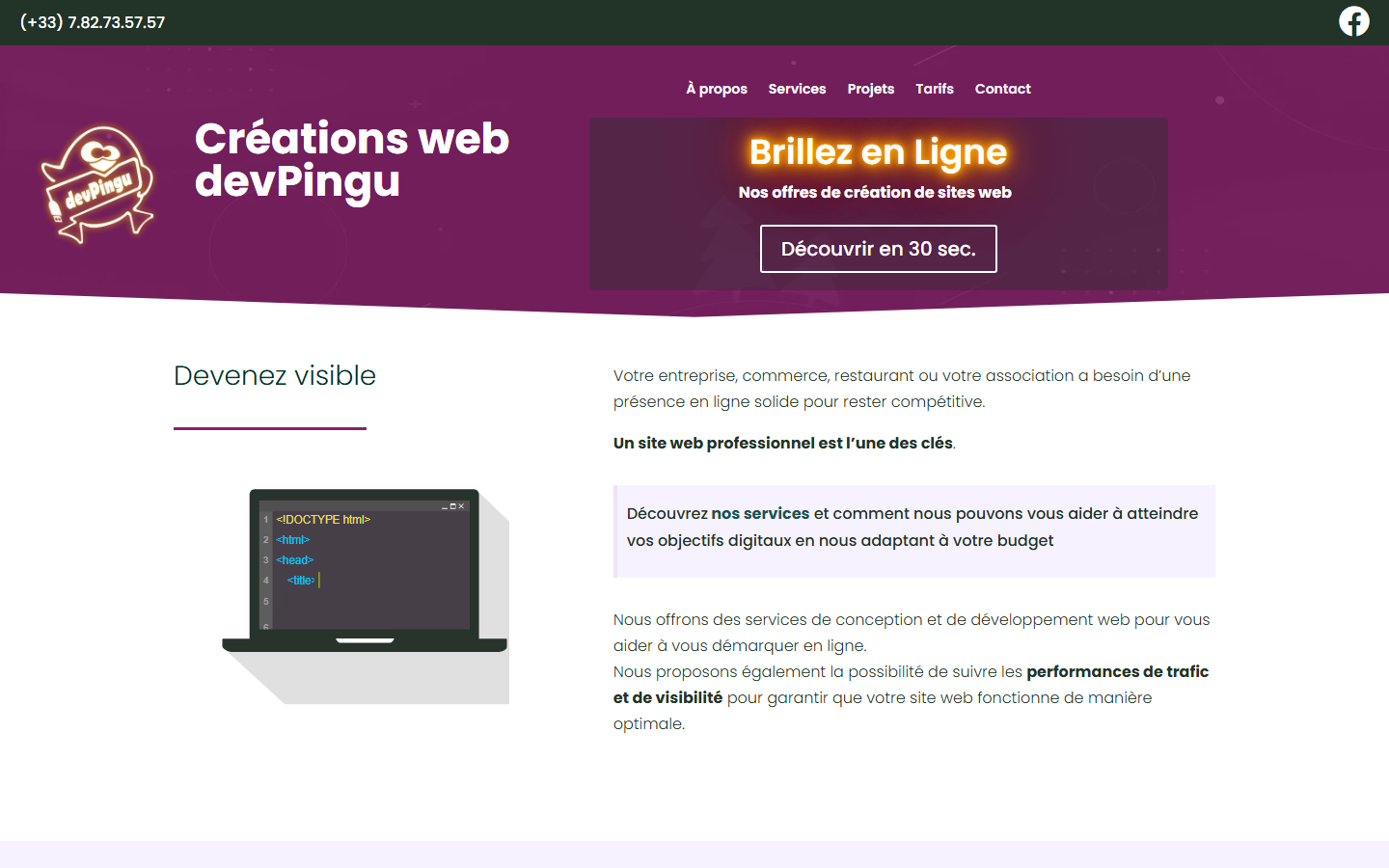 Aperçu du site de devPingu