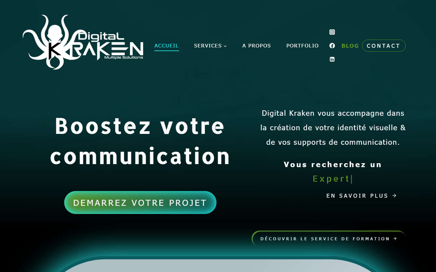 Aperçu du site de Digital Kraken