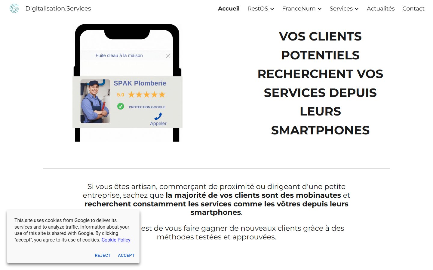 Aperçu du site de Digitalisation.services
