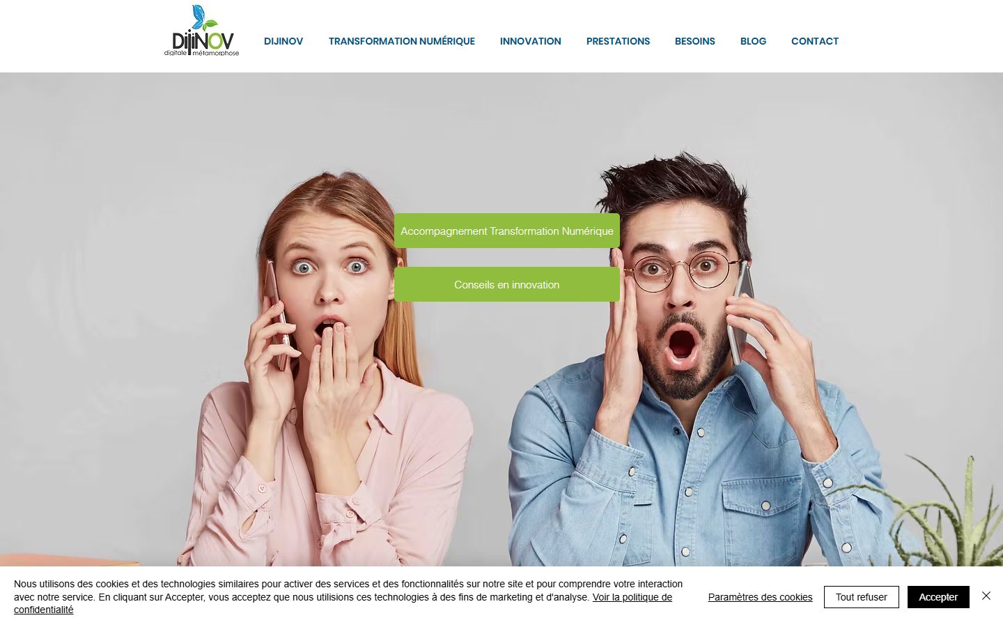 Aperçu du site de Dijinov