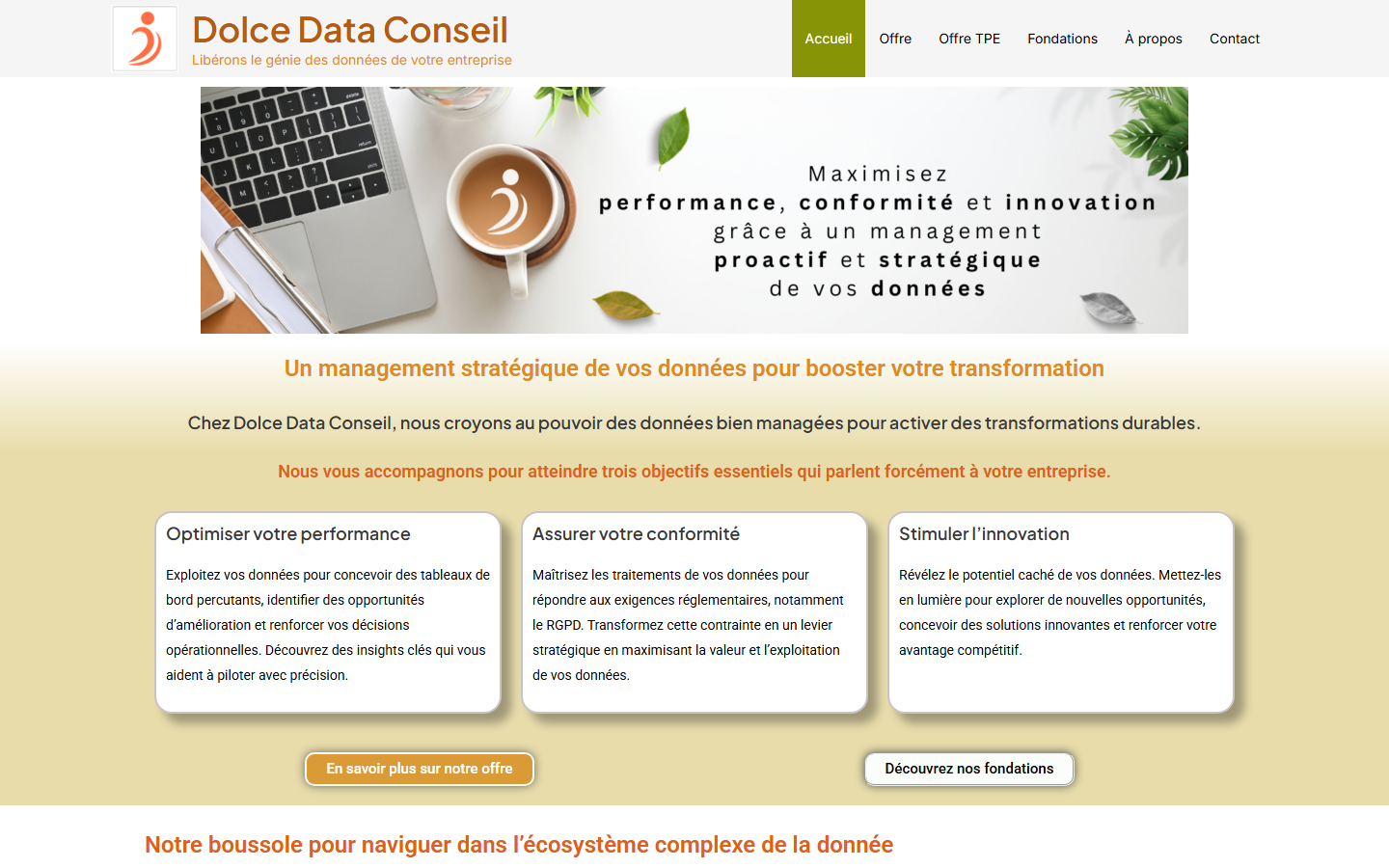 Aperçu du site de Dolce Data Conseil