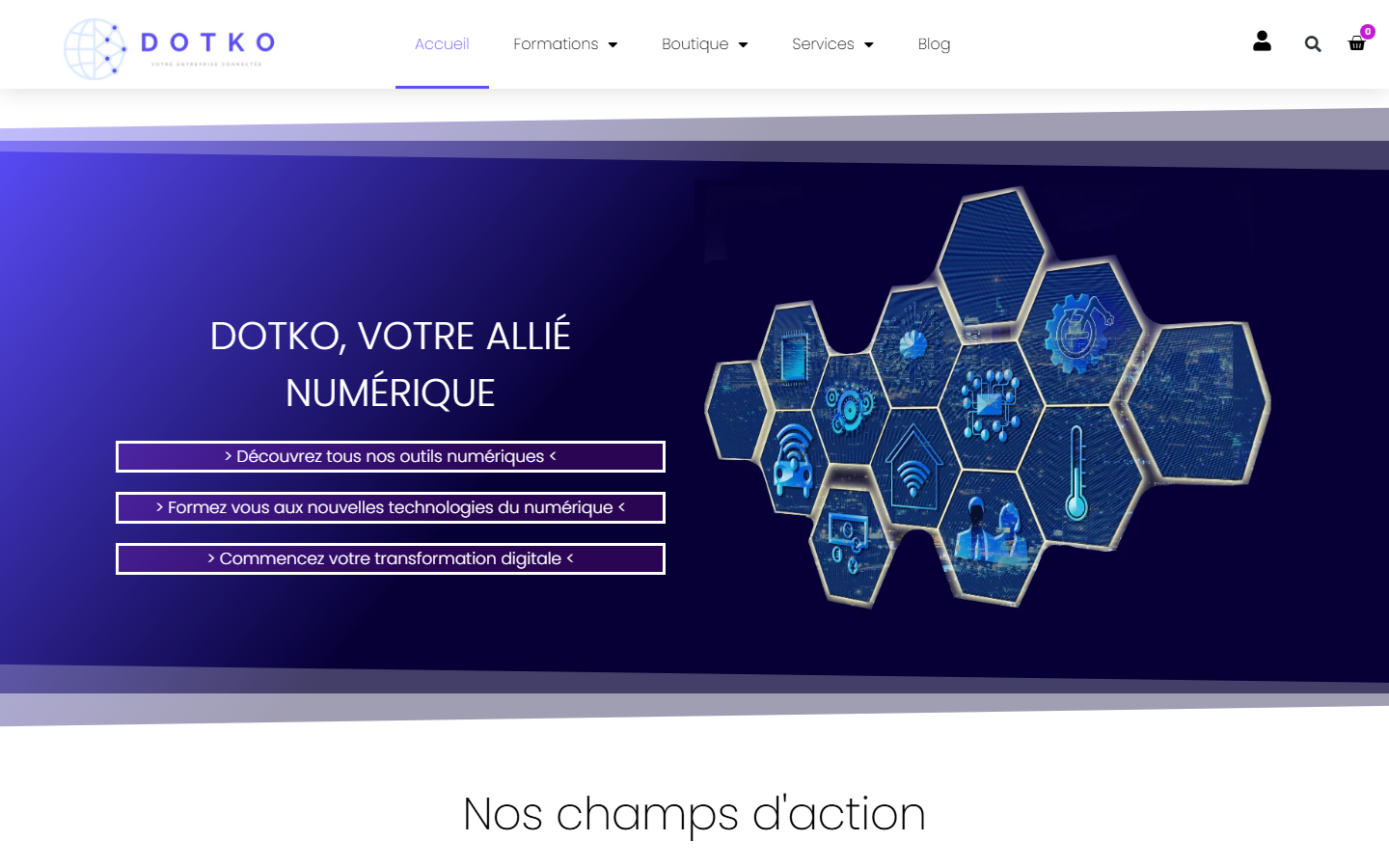 Aperçu du site de DOTKO