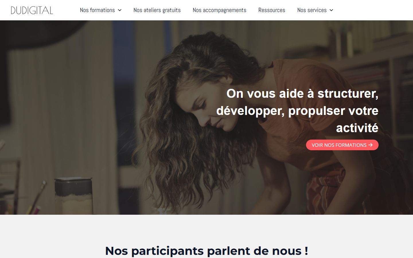Aperçu du site de DUDIGITAL