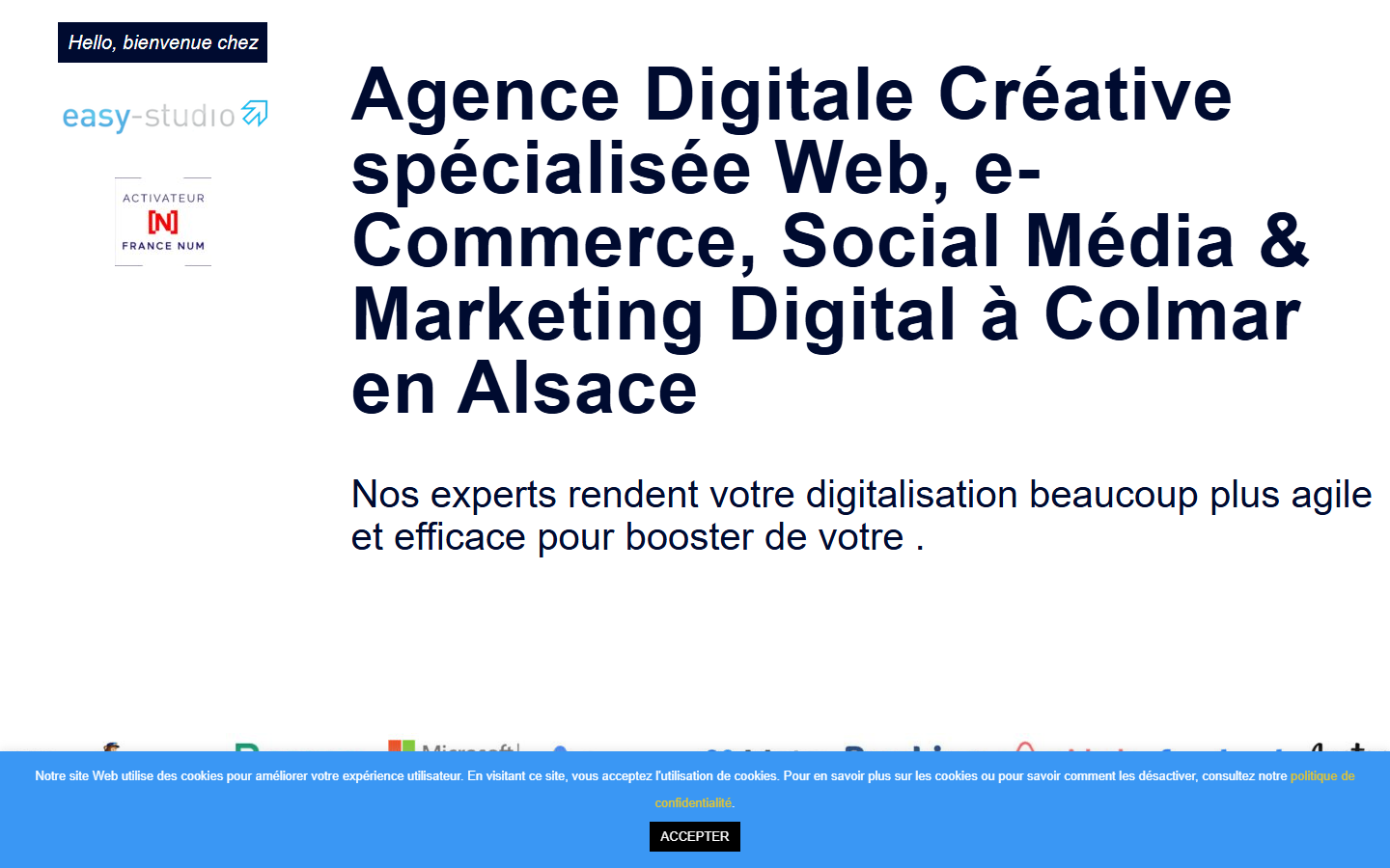 Aperçu du site de EASY STUDIO