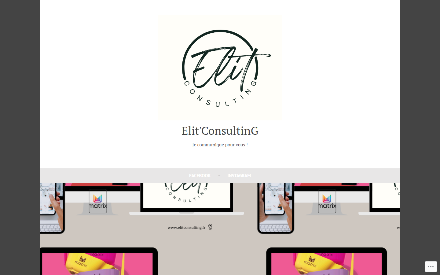 Aperçu du site de Elit'Consulting