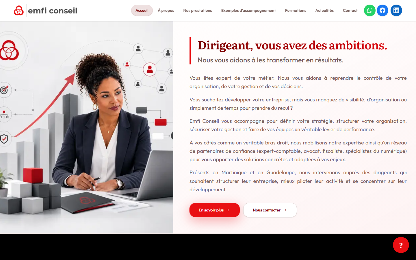 Aperçu du site de EMFI CONSEIL