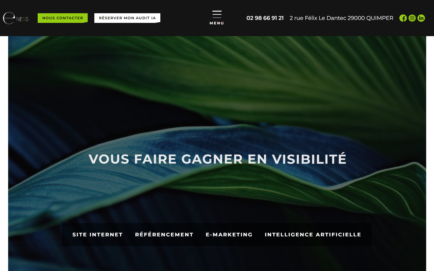Aperçu du site de E-NESS