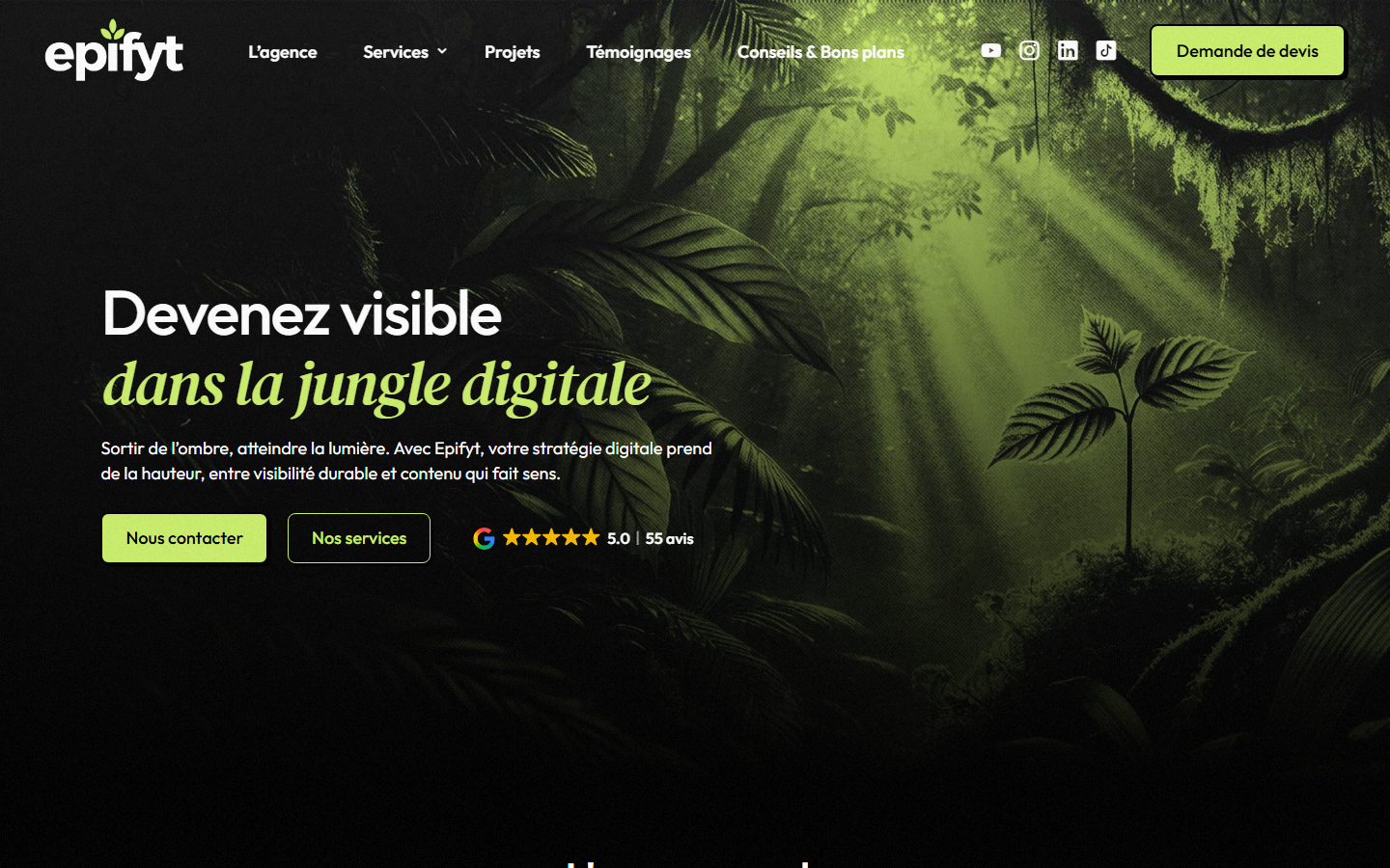Aperçu du site de Roques Thibault
