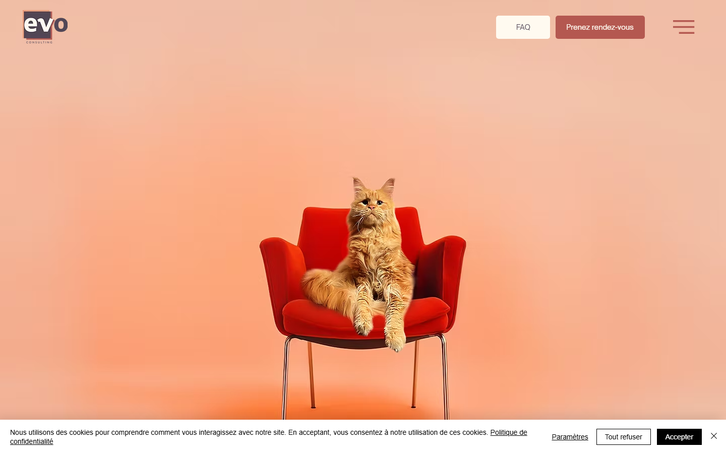 Aperçu du site de EVO CONSULTING