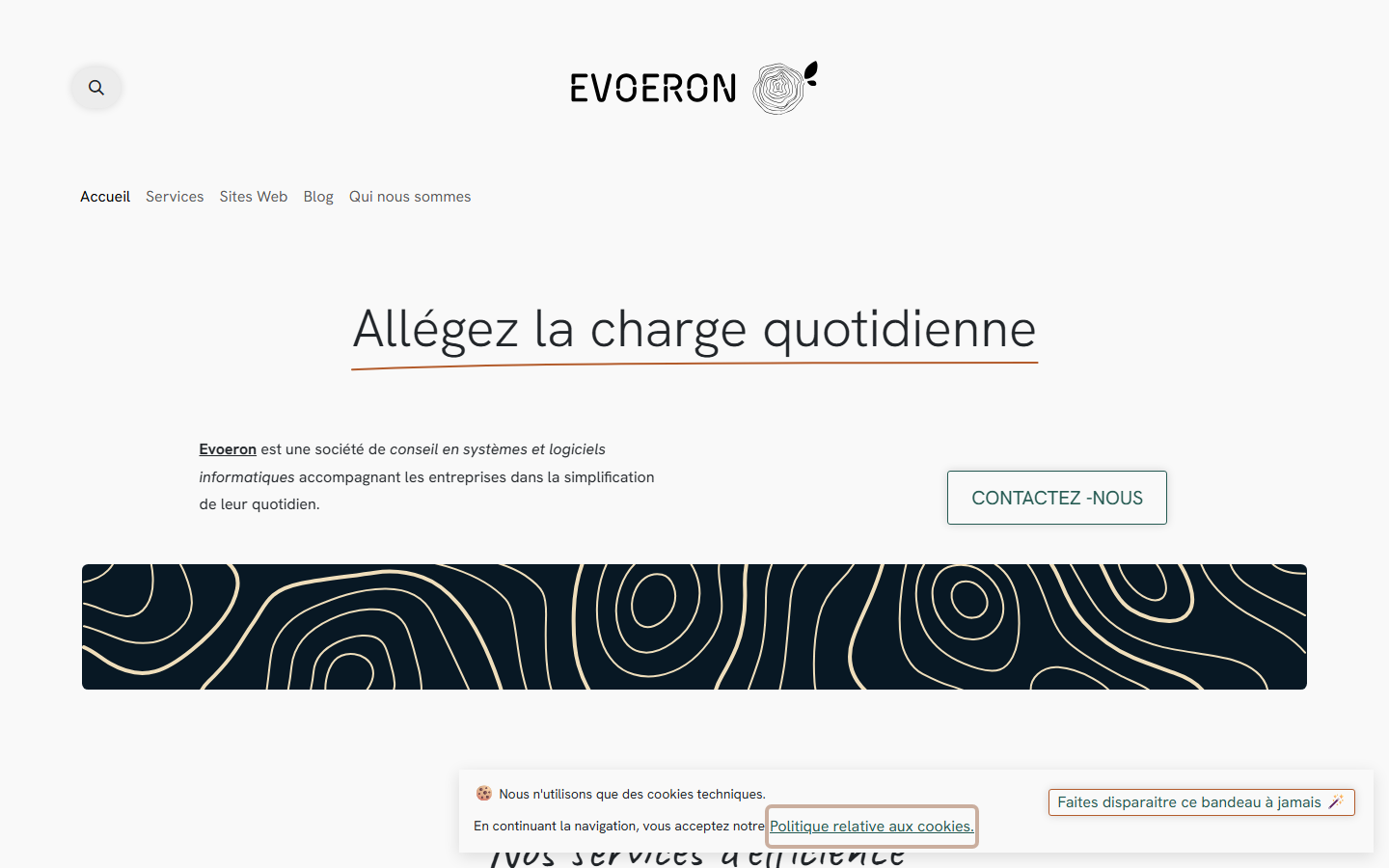Aperçu du site de EVOERON