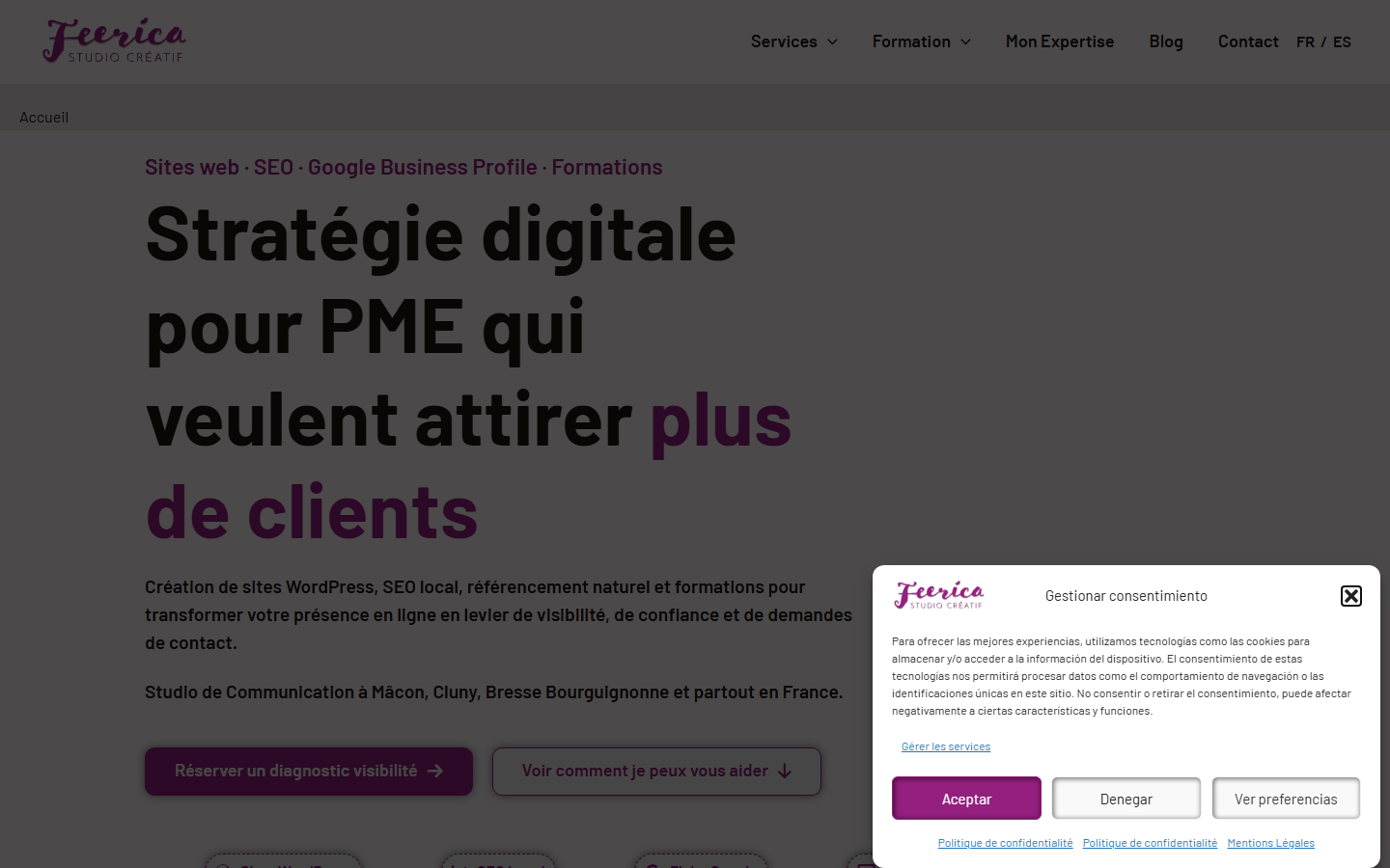 Aperçu du site de Feerica Studio Créatif