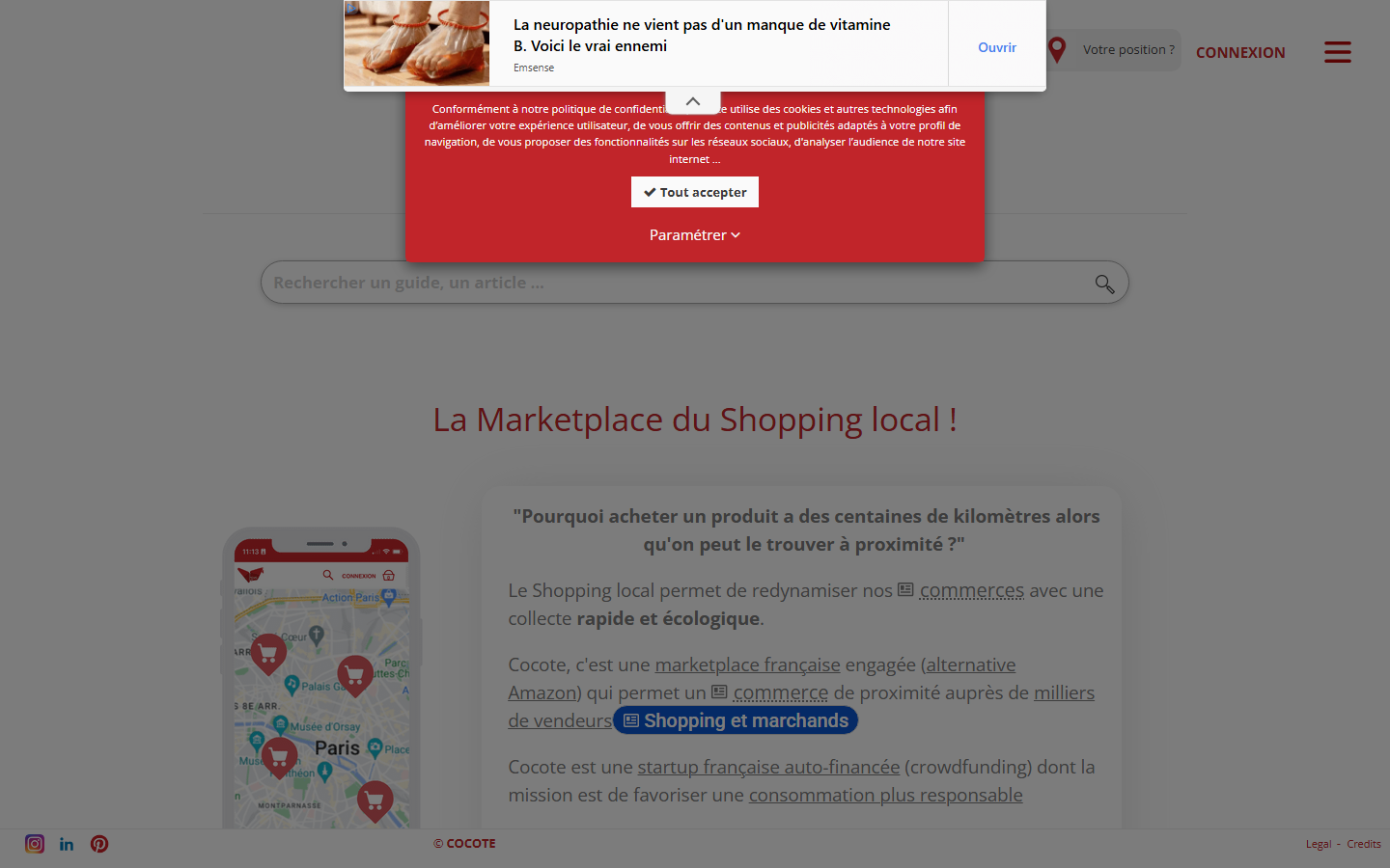Aperçu du site de Cocote
