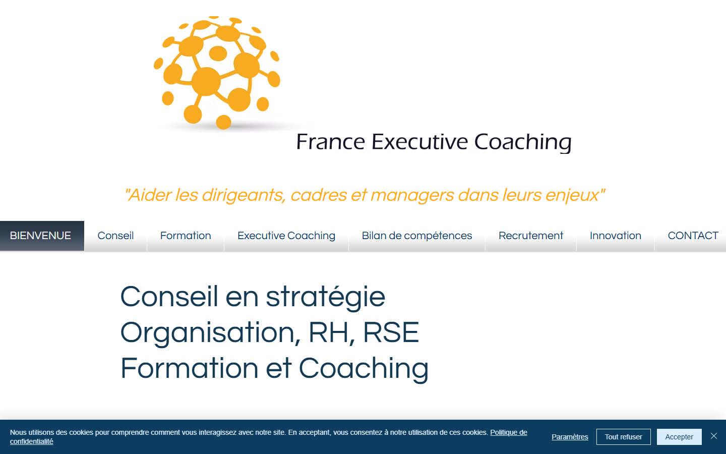 Aperçu du site de FRANCE EXECUTIVE COACHING