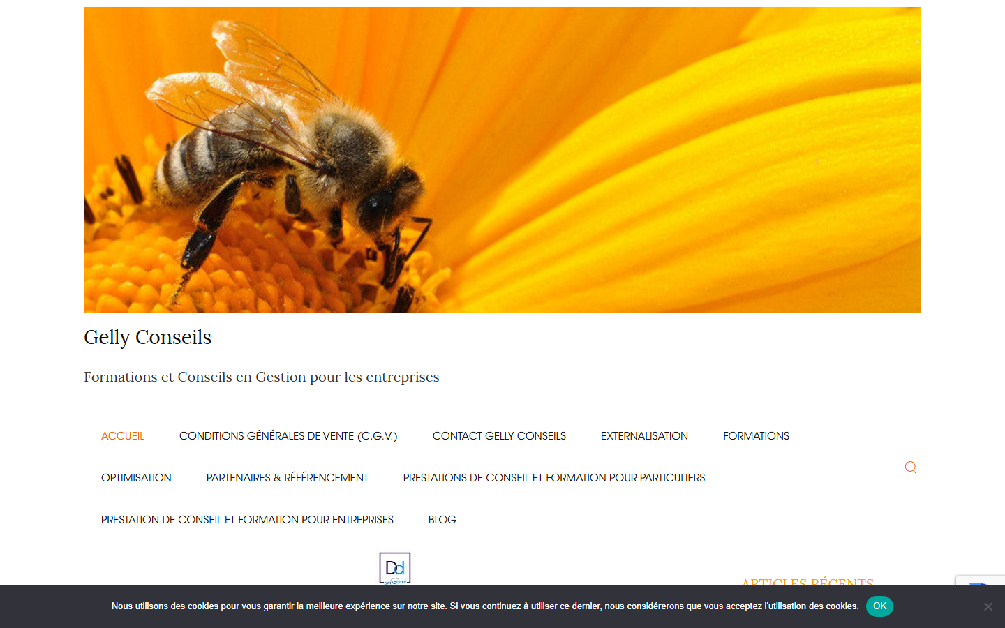 Aperçu du site de Fabrice Gelly Conseil