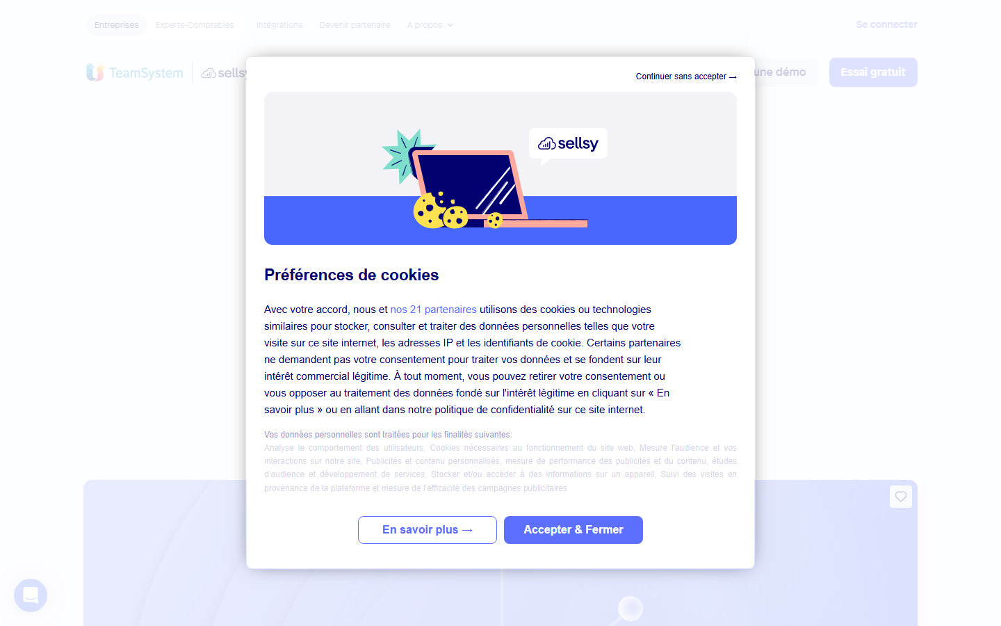 Aperçu du site de SELLSY