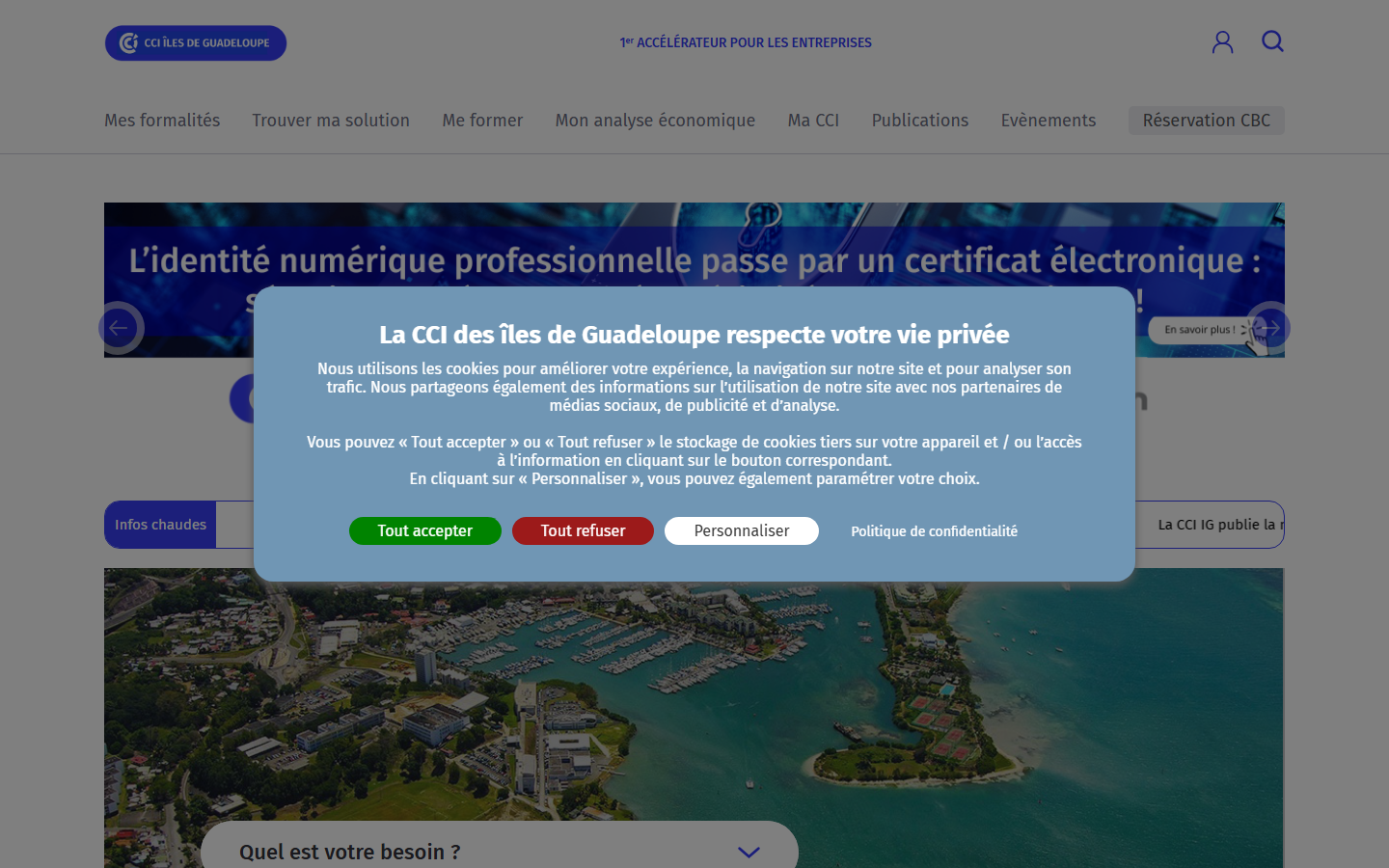 Aperçu du site de Chambre de commerce et d'industrie Guadeloupe