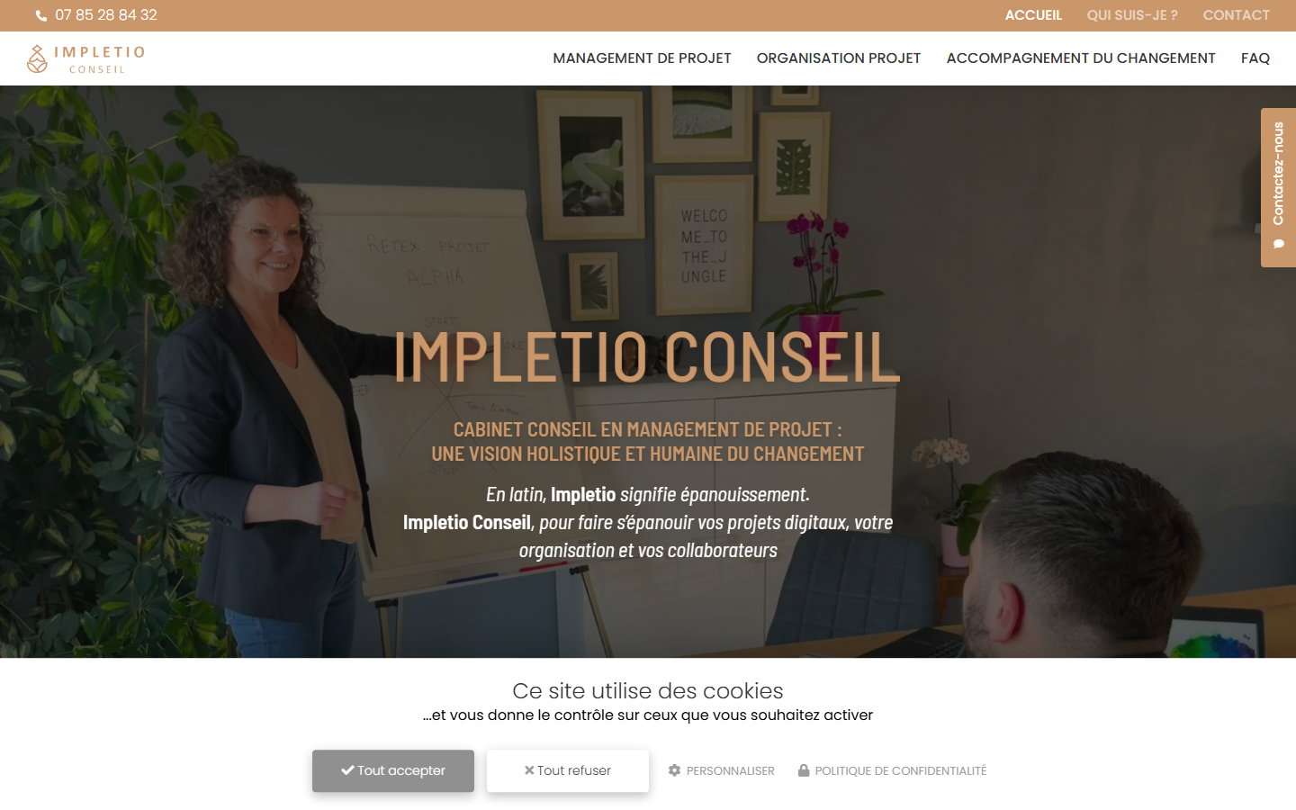 Aperçu du site de IMPLETIO CONSEIL