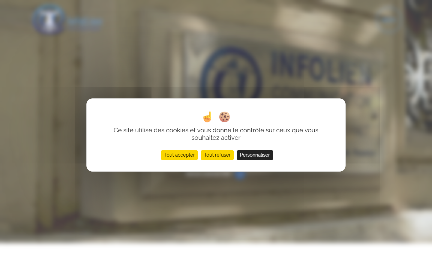 Aperçu du site de INFOLIEN