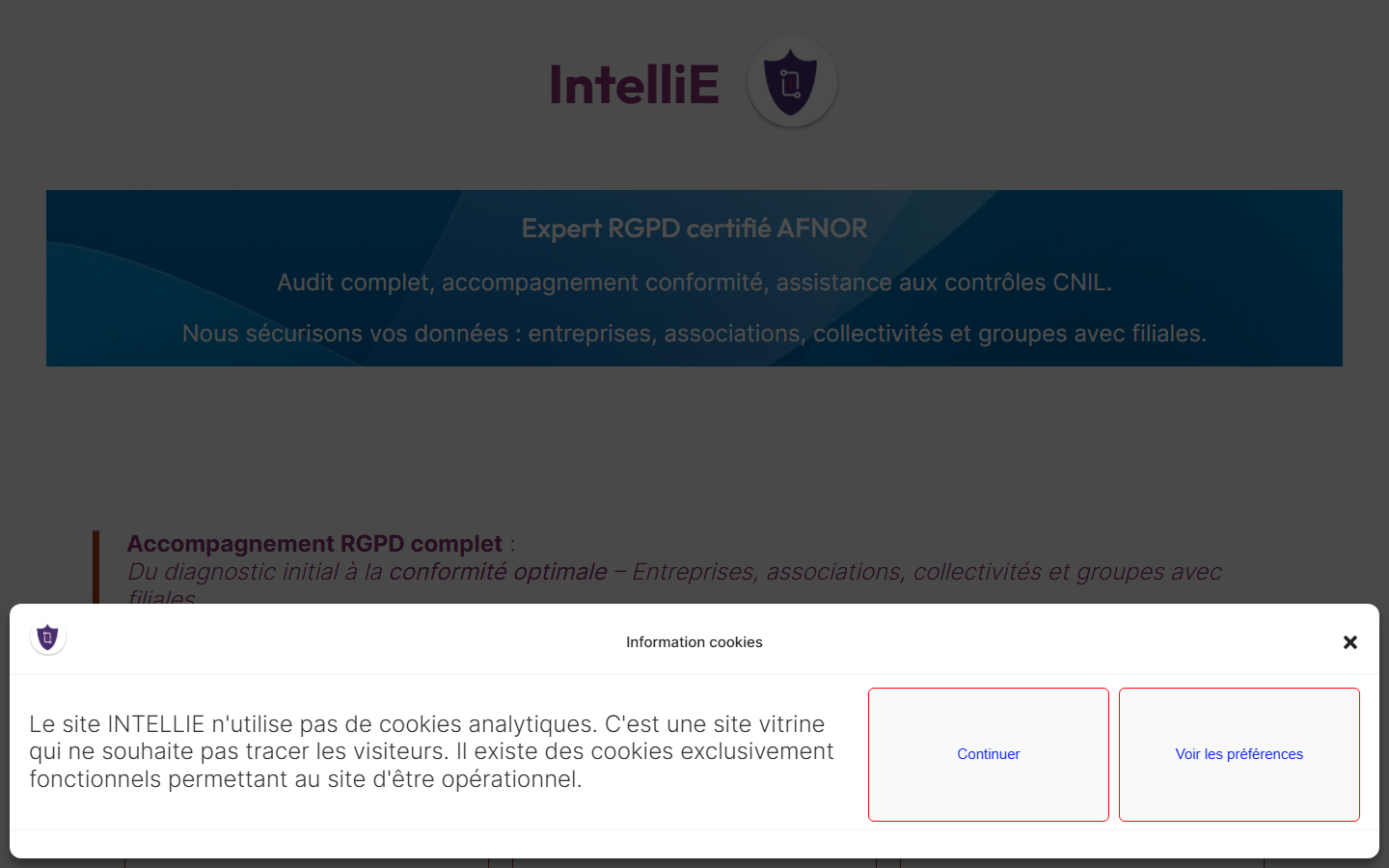 Aperçu du site de INTELLIE
