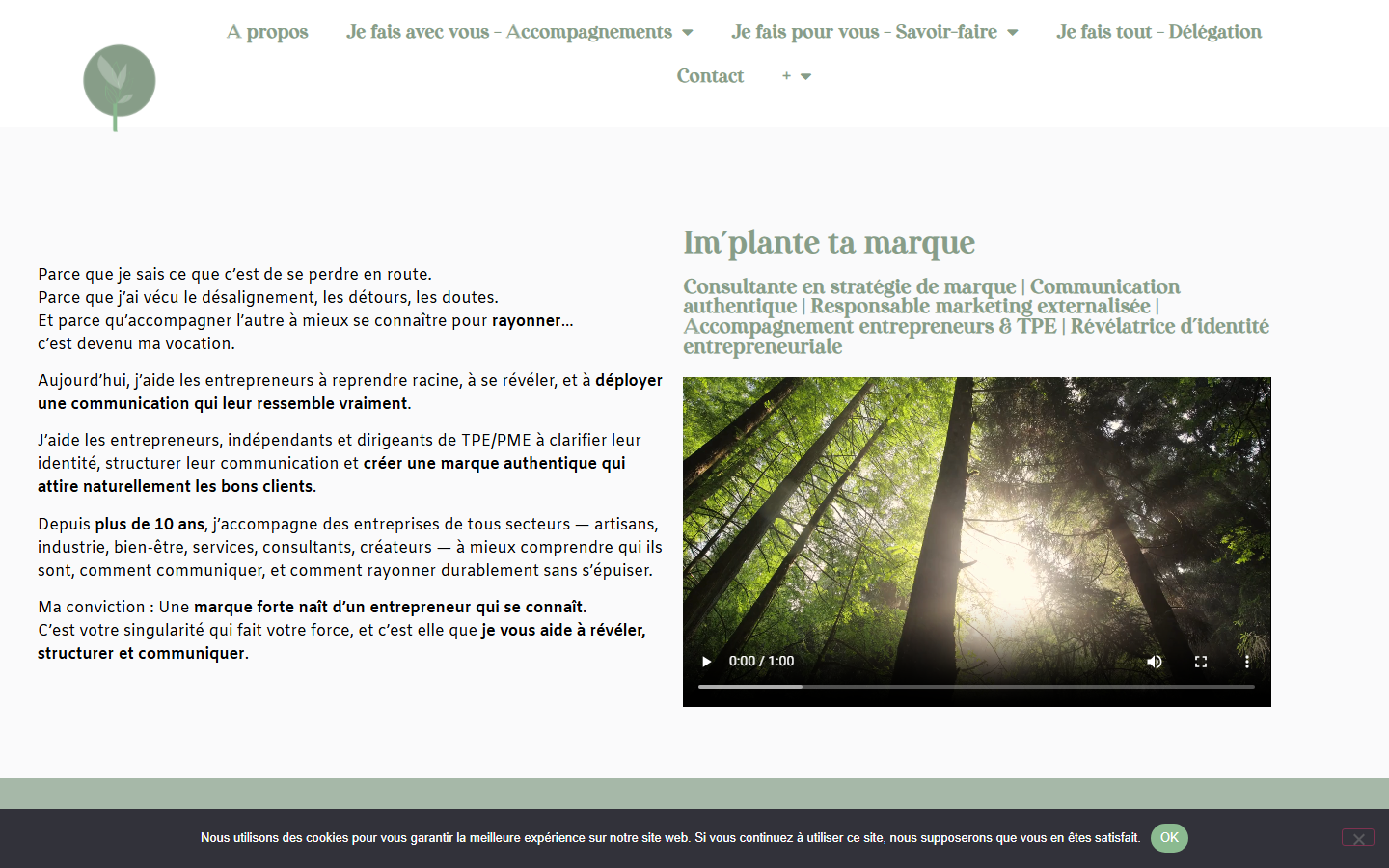 Aperçu du site de Im'plante ta marque
