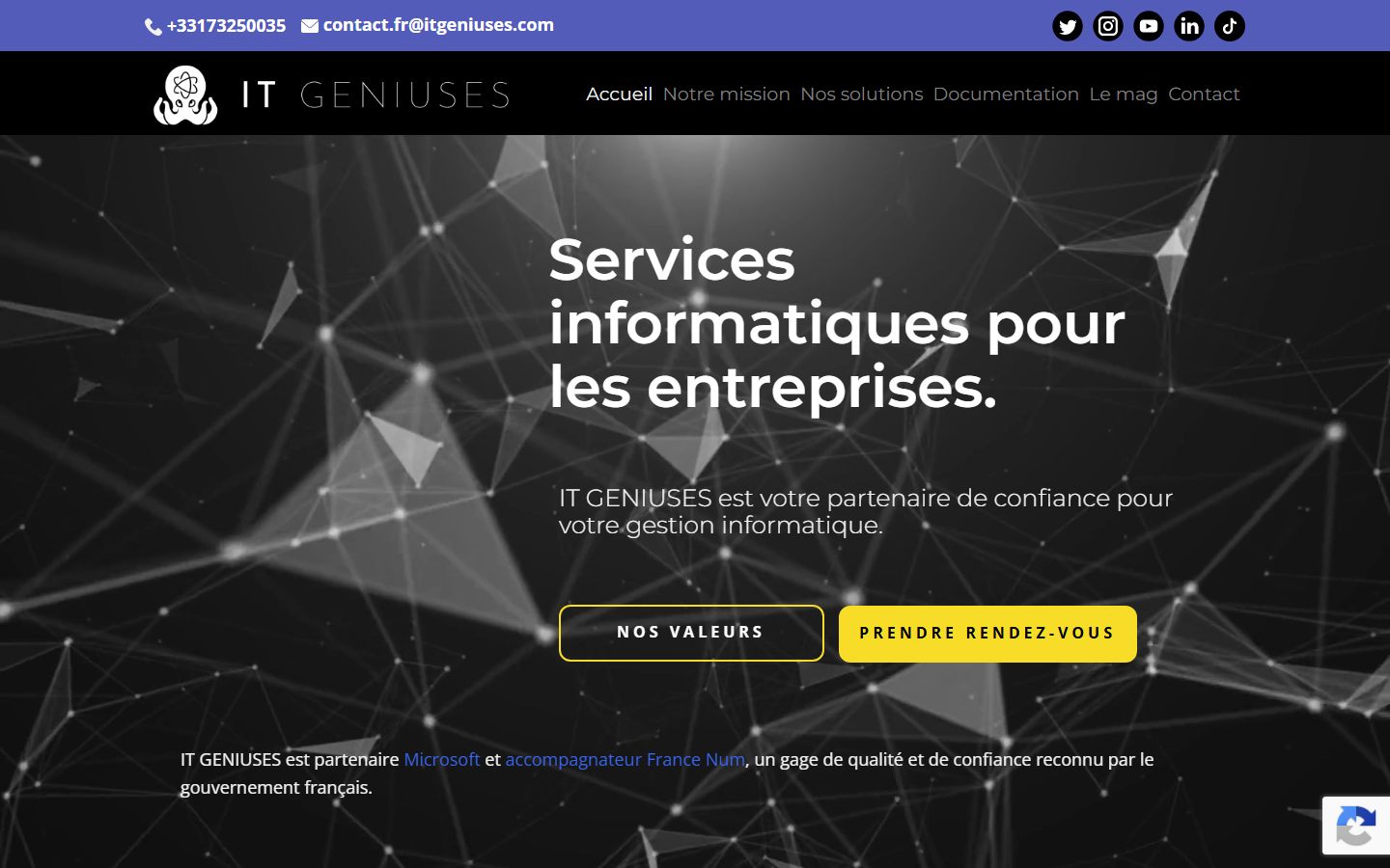 Aperçu du site de IT GENIUSES