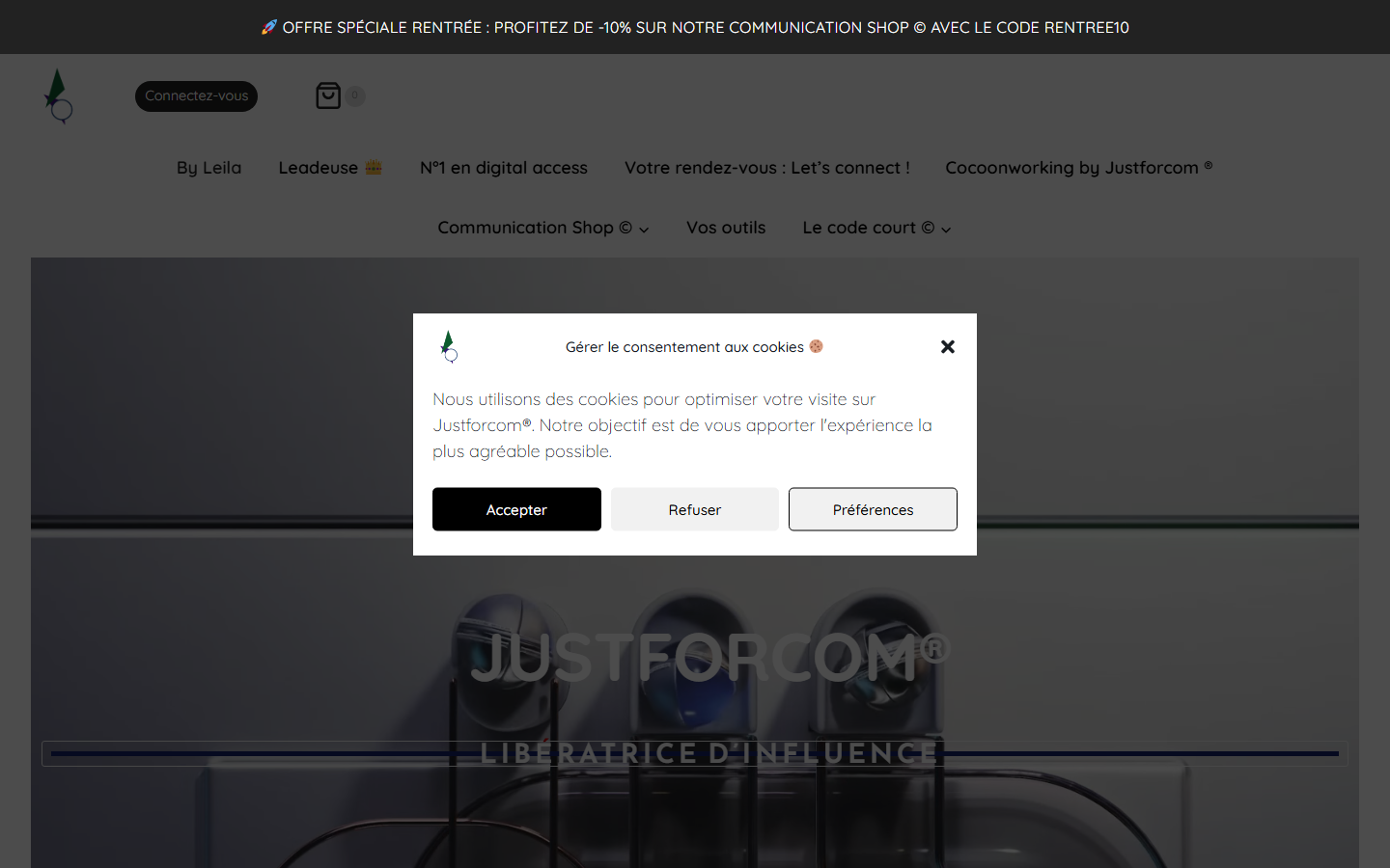 Aperçu du site de Justforcom