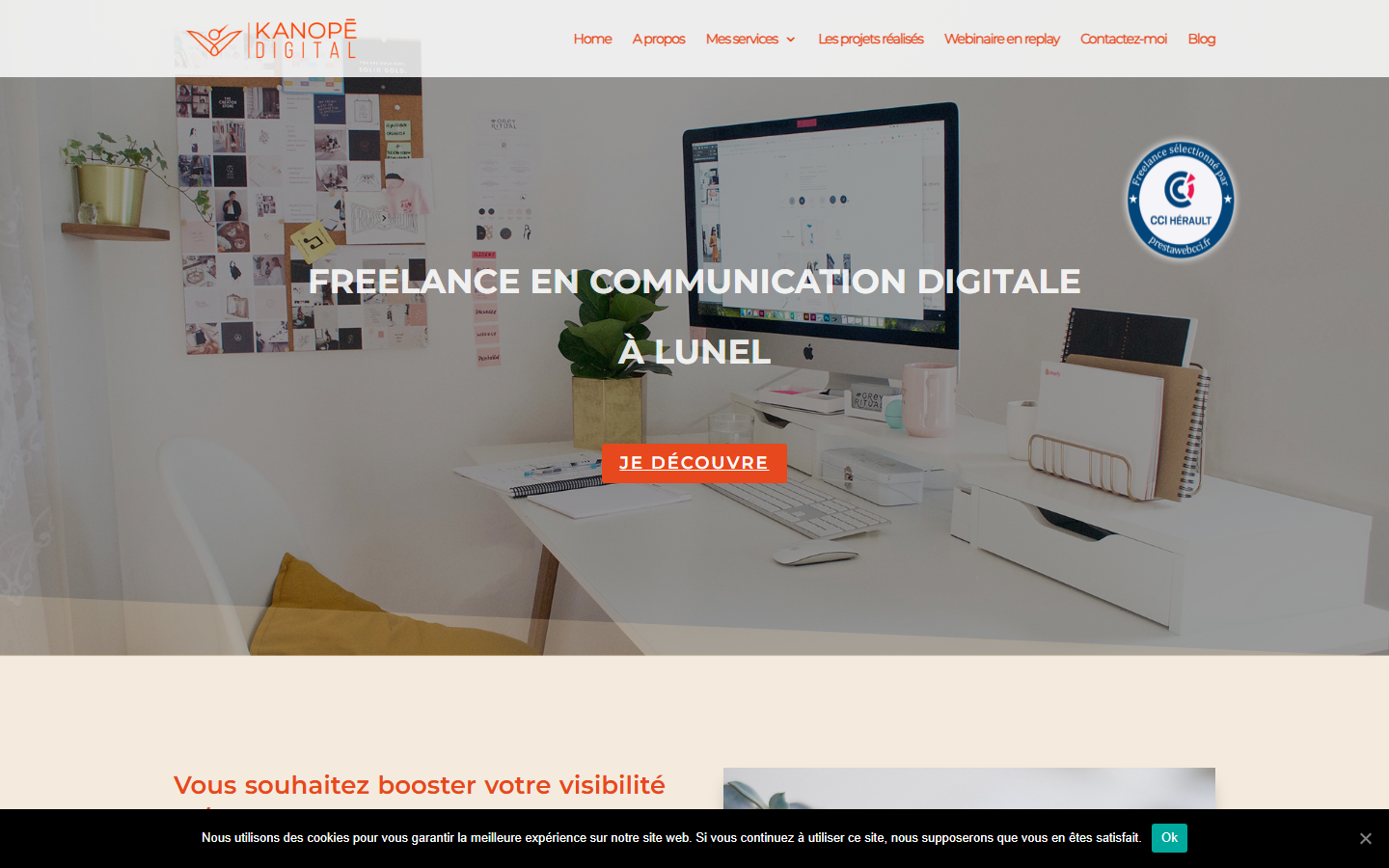 Aperçu du site de Kanopé Digital
