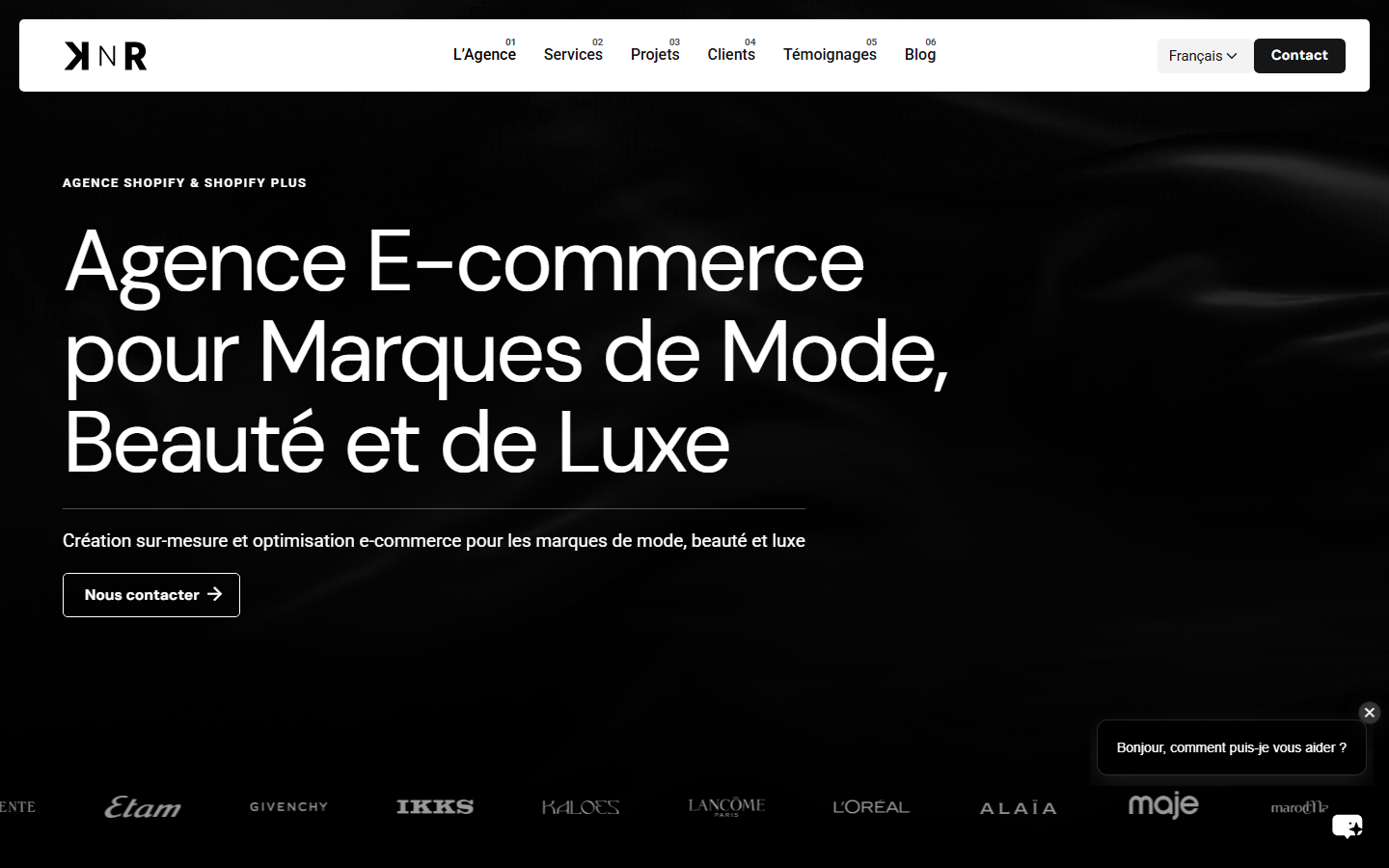 Aperçu du site de Agence KNR