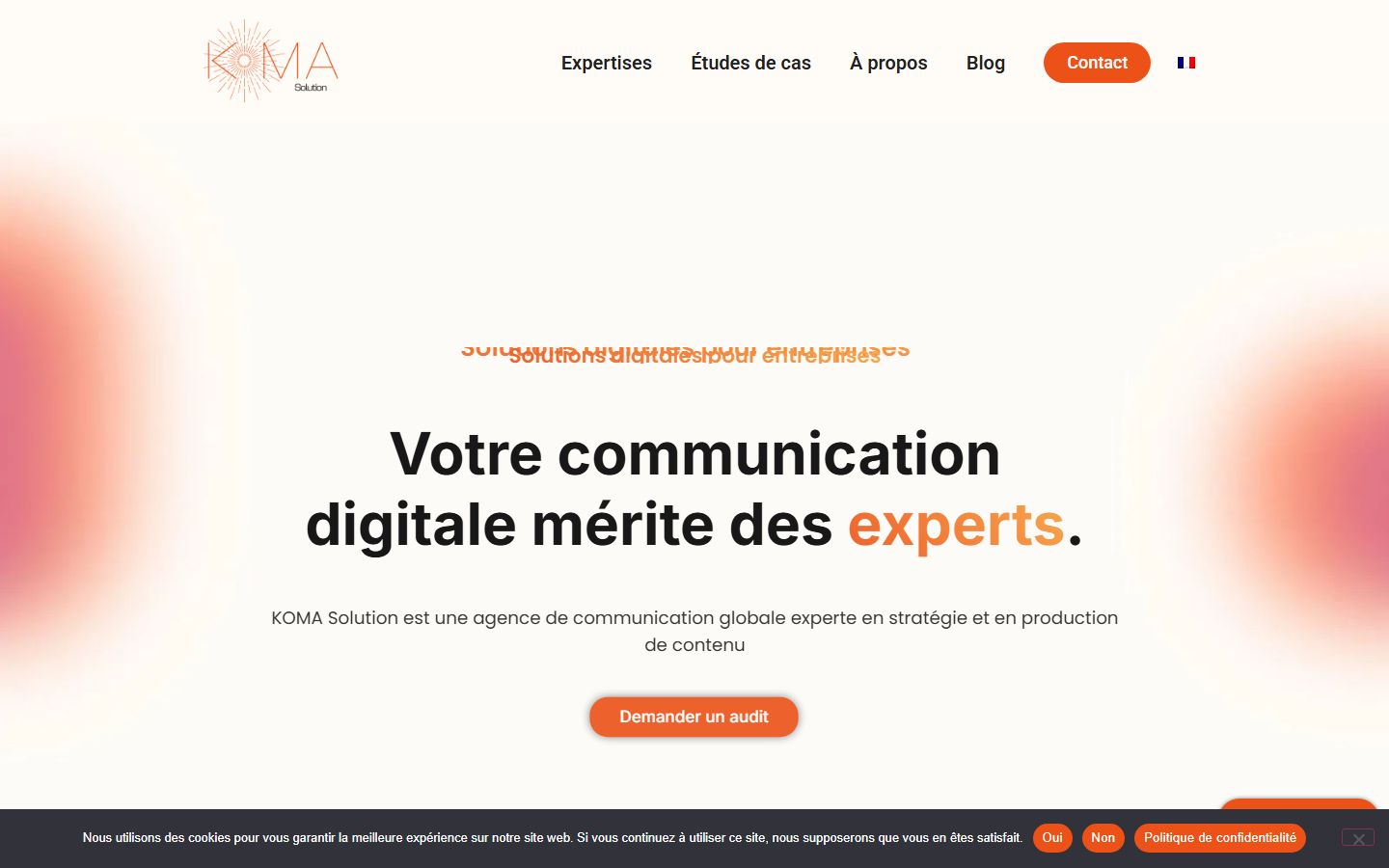 Aperçu du site de KOMA Solution