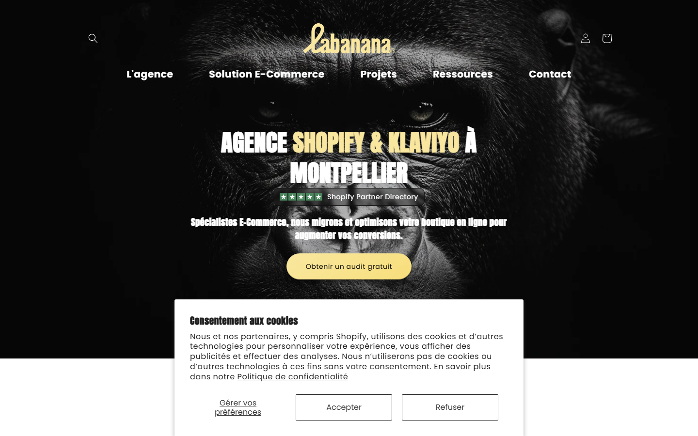 Aperçu du site de LABANANA