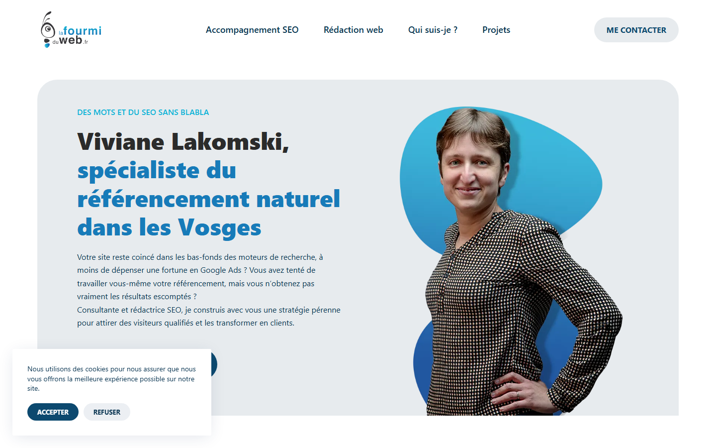 Aperçu du site de La Fourmi du Web