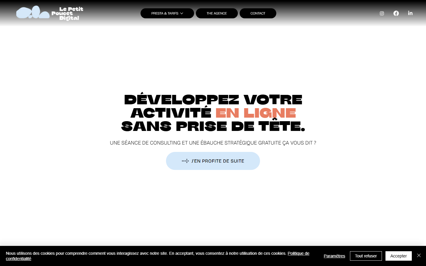 Aperçu du site de Le Petit Poucet Digital