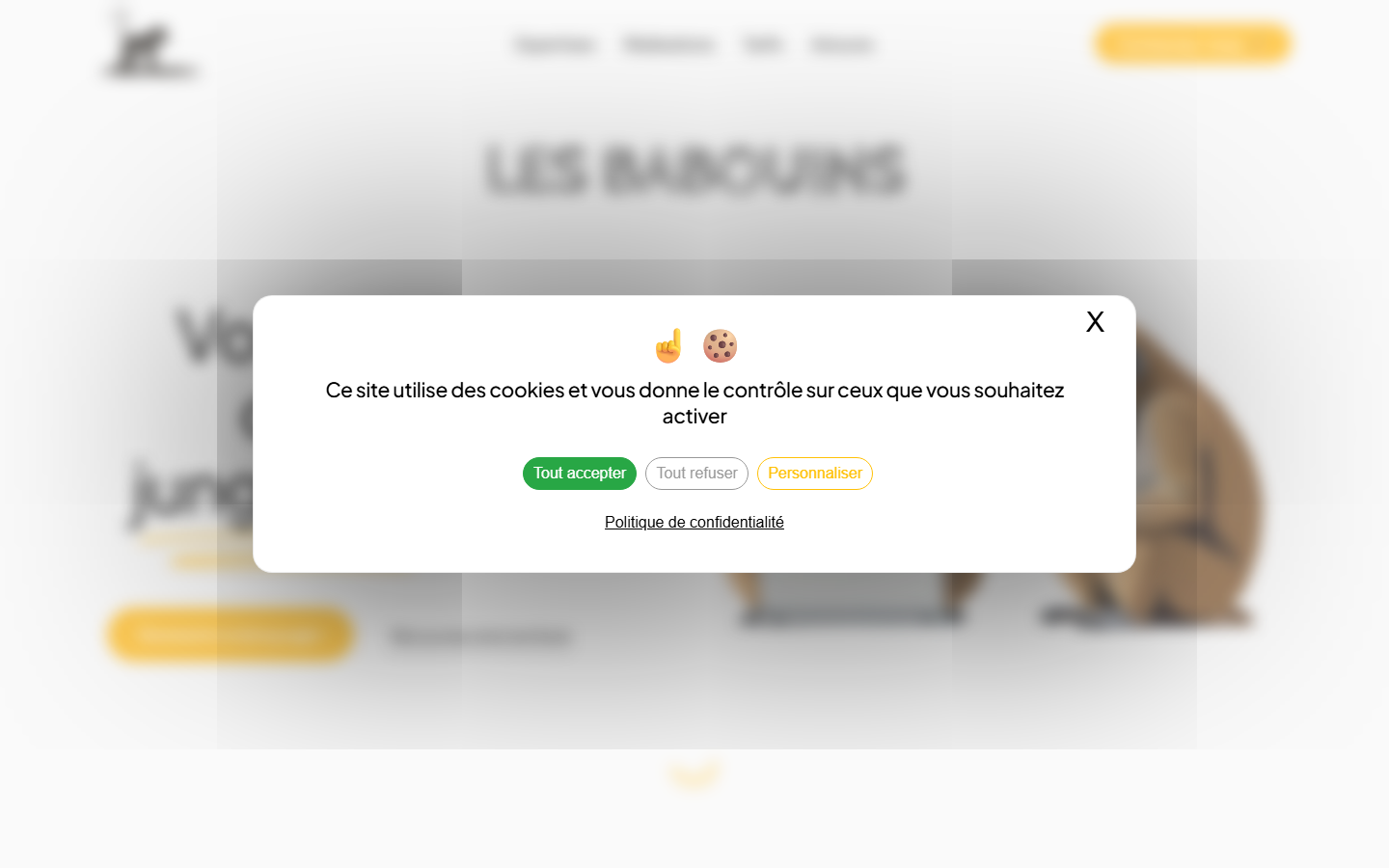 Aperçu du site de Les Babouins