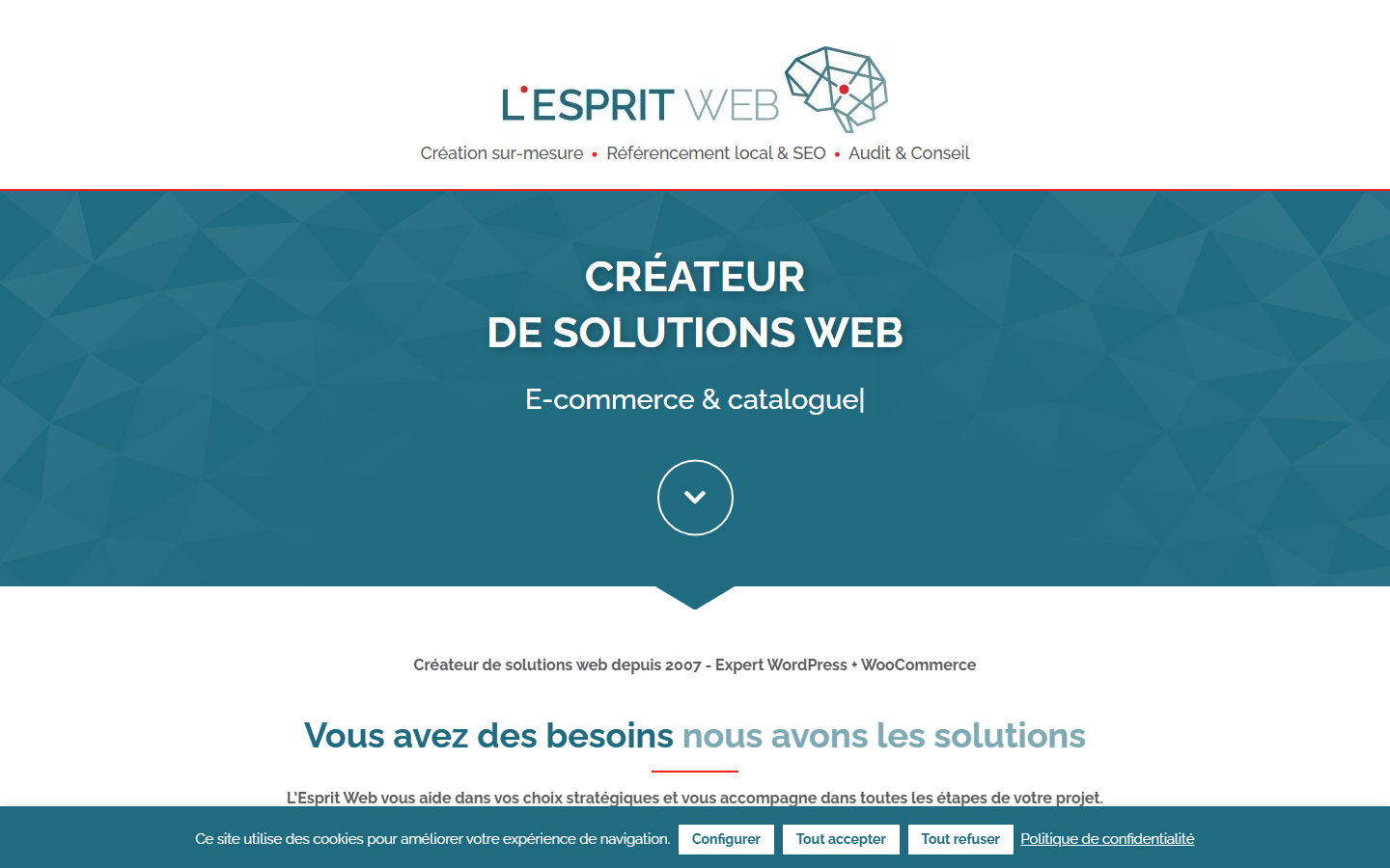 Aperçu du site de L'ESPRIT WEB