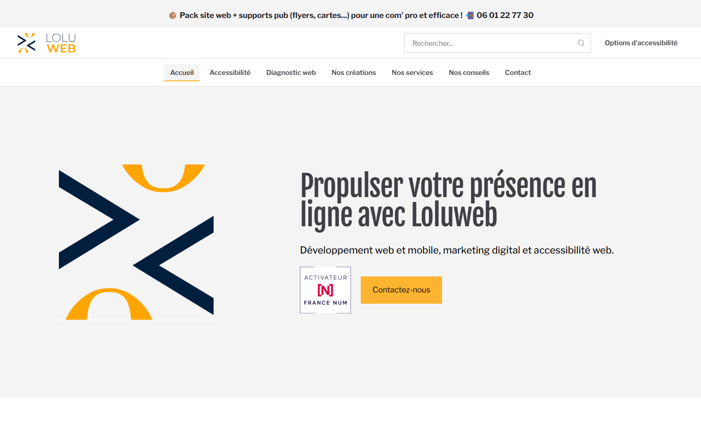 Aperçu du site de LOLUWEB