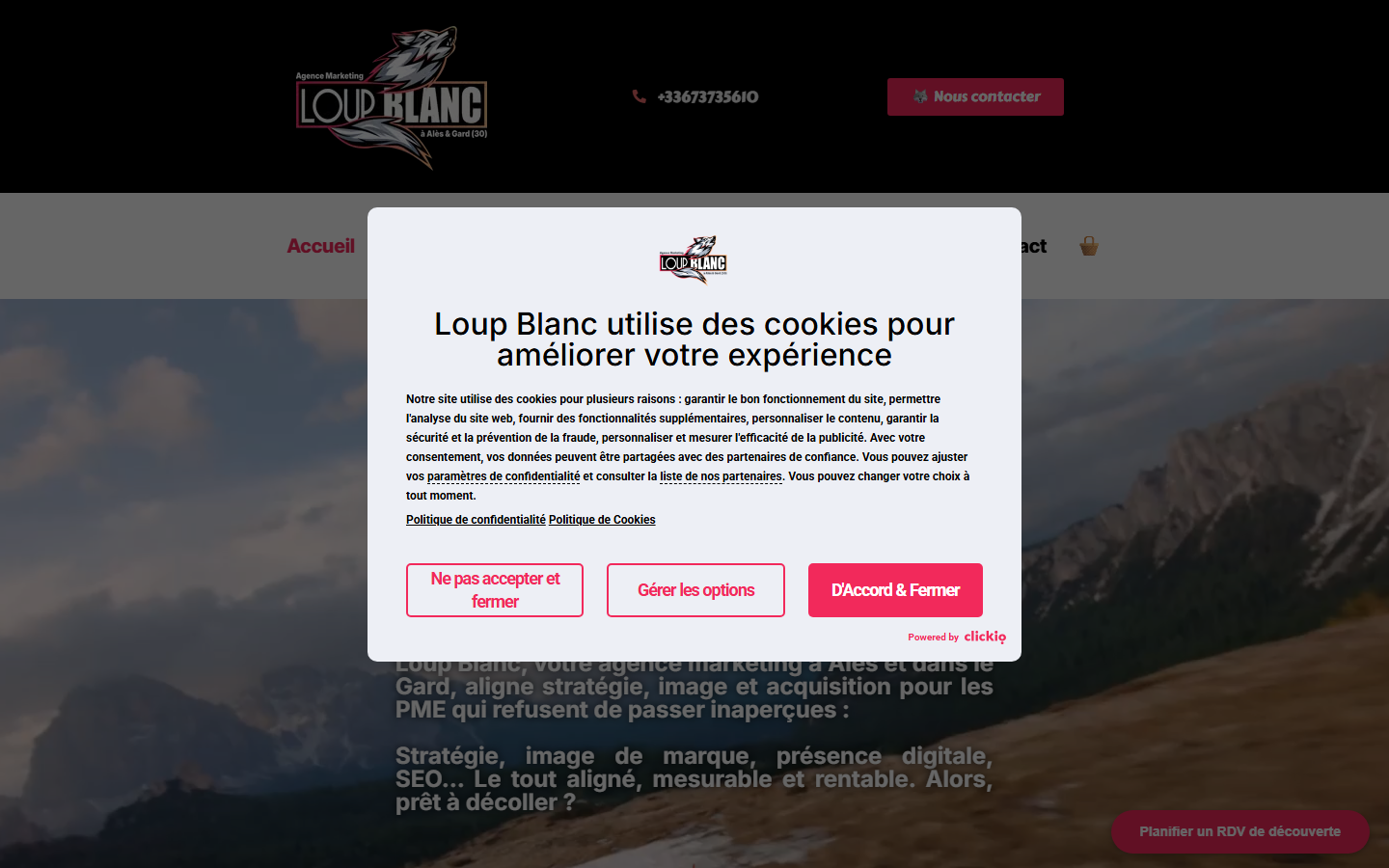 Aperçu du site de Loup Blanc