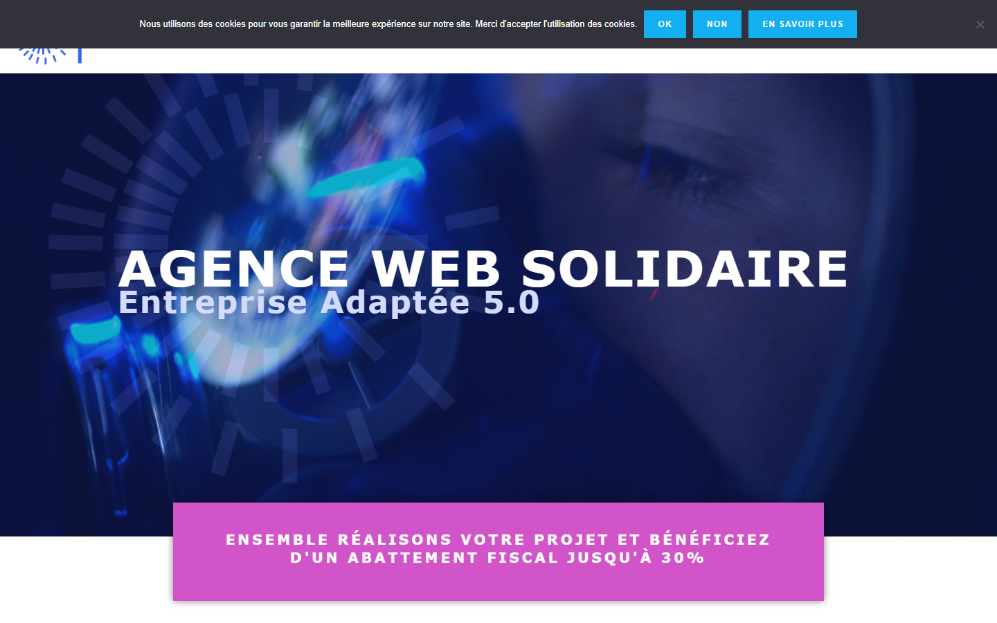 Aperçu du site de LUENCE