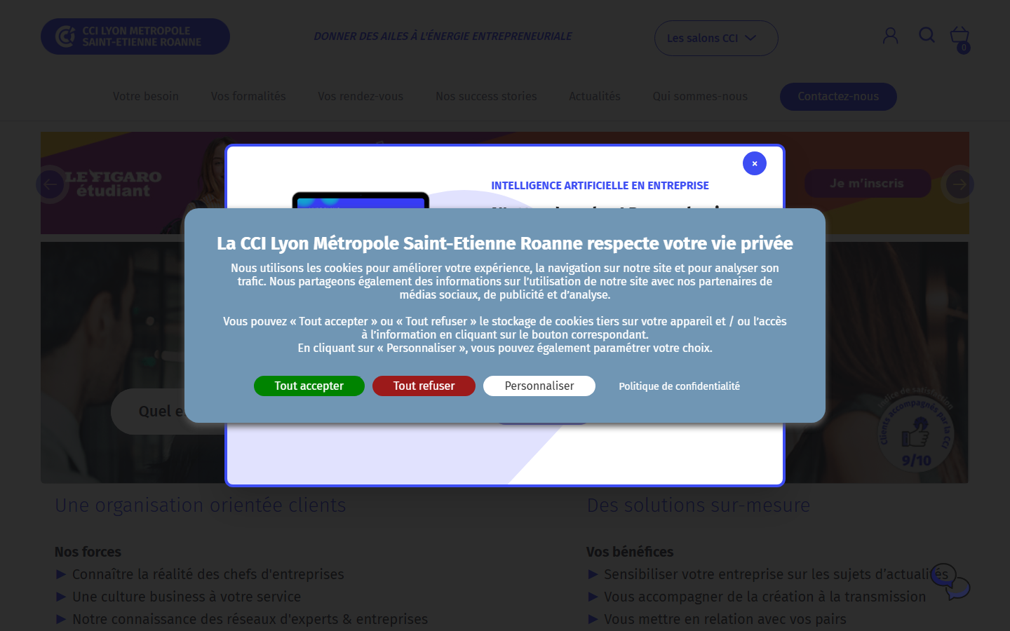 Aperçu du site de CCI LYON METROPOLE Saint-Etienne Roanne