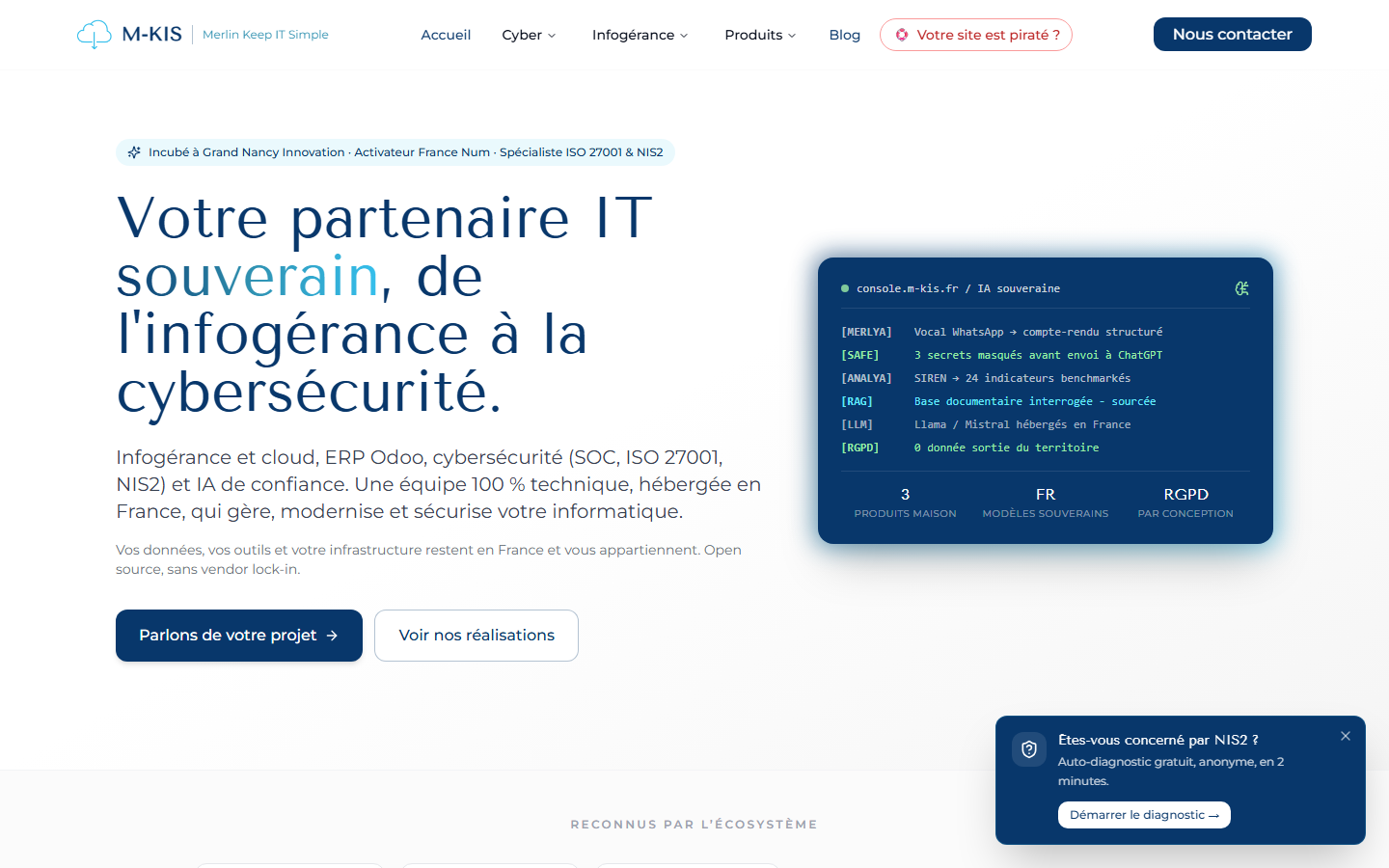 Aperçu du site de MERLYA