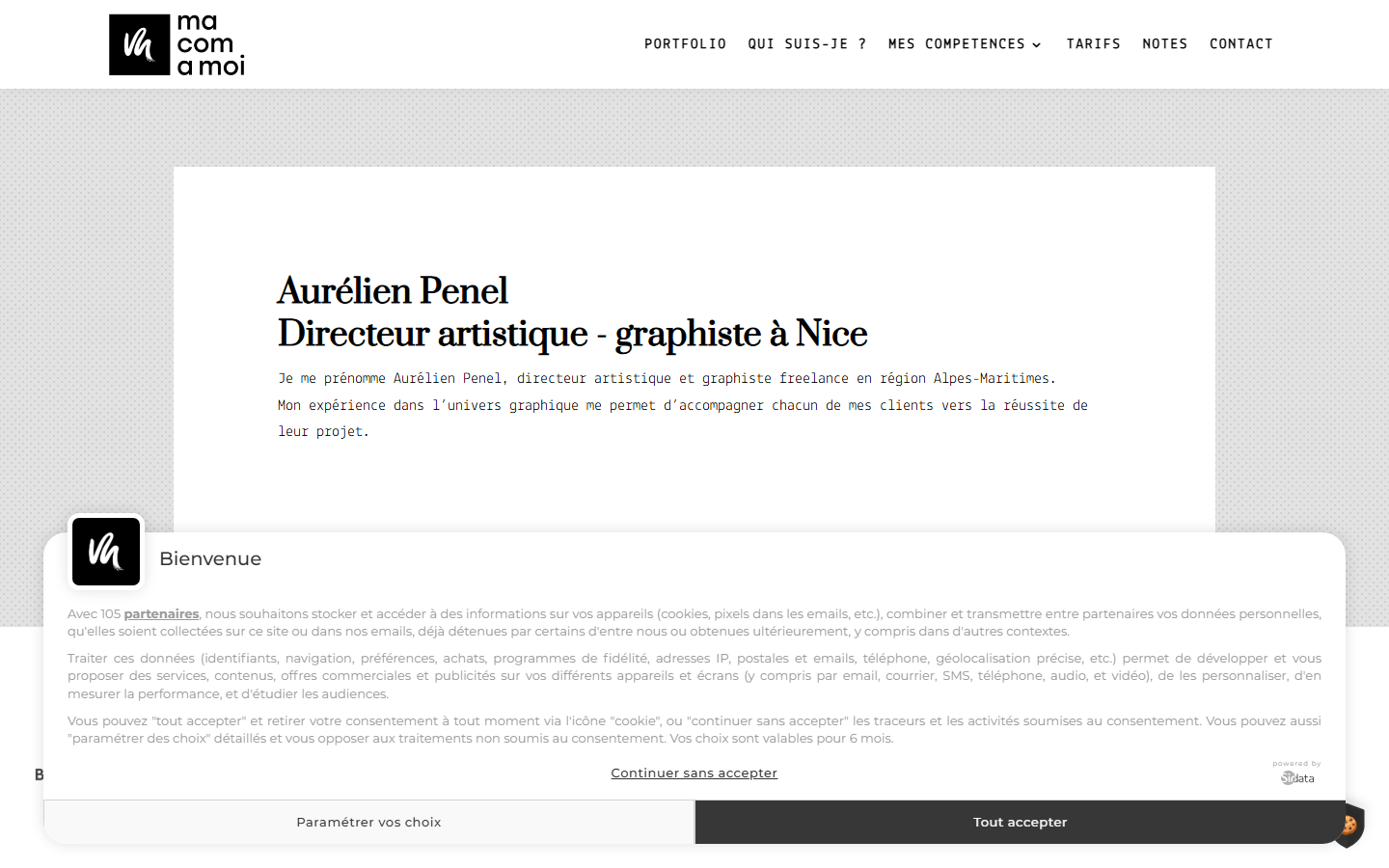 Aperçu du site de Aurélien Penel