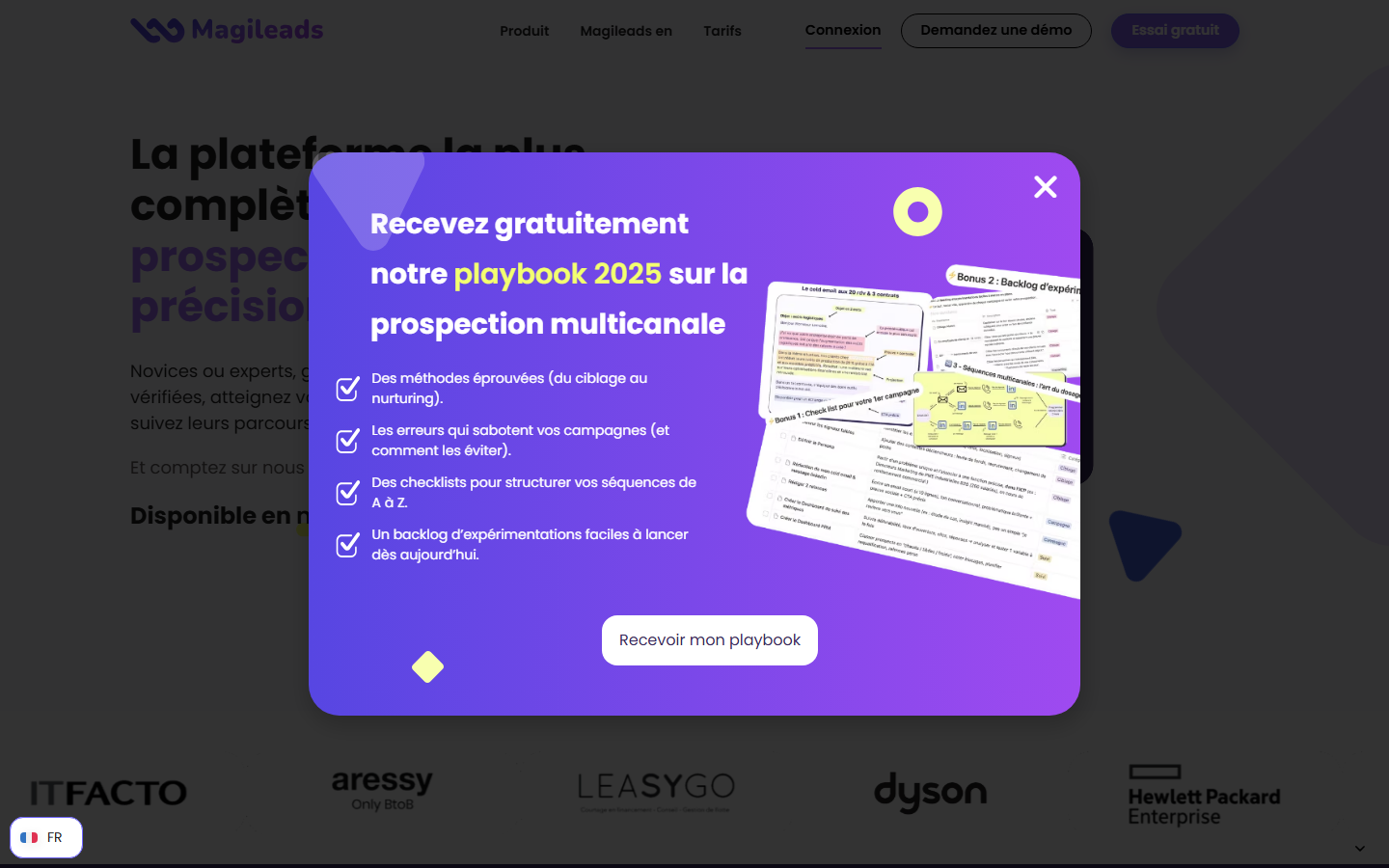 Aperçu du site de Magileads