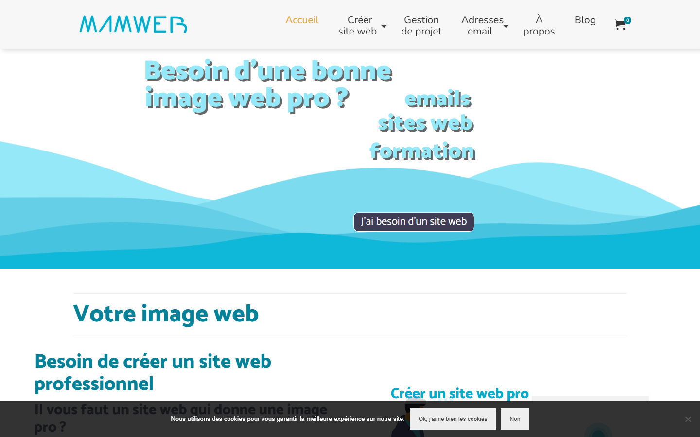 Aperçu du site de Mamweb
