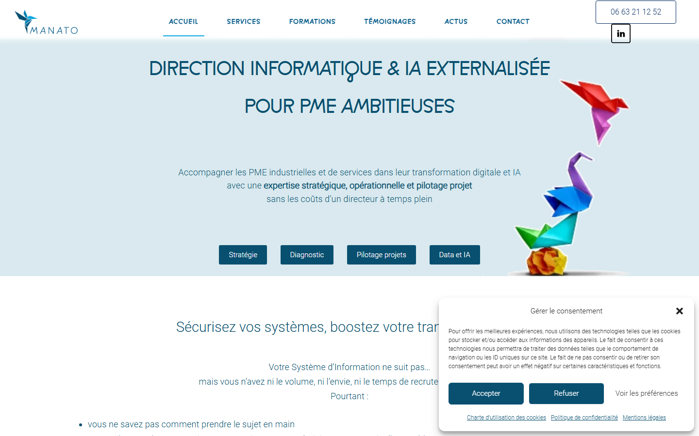 Aperçu du site de MANATO