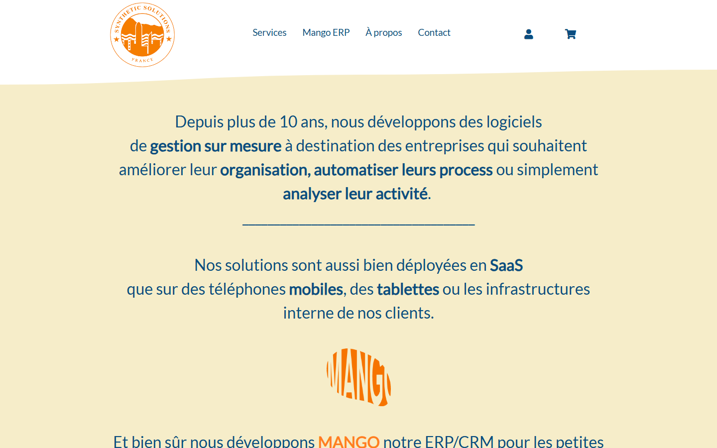 Aperçu du site de Synthetic Solutions France
