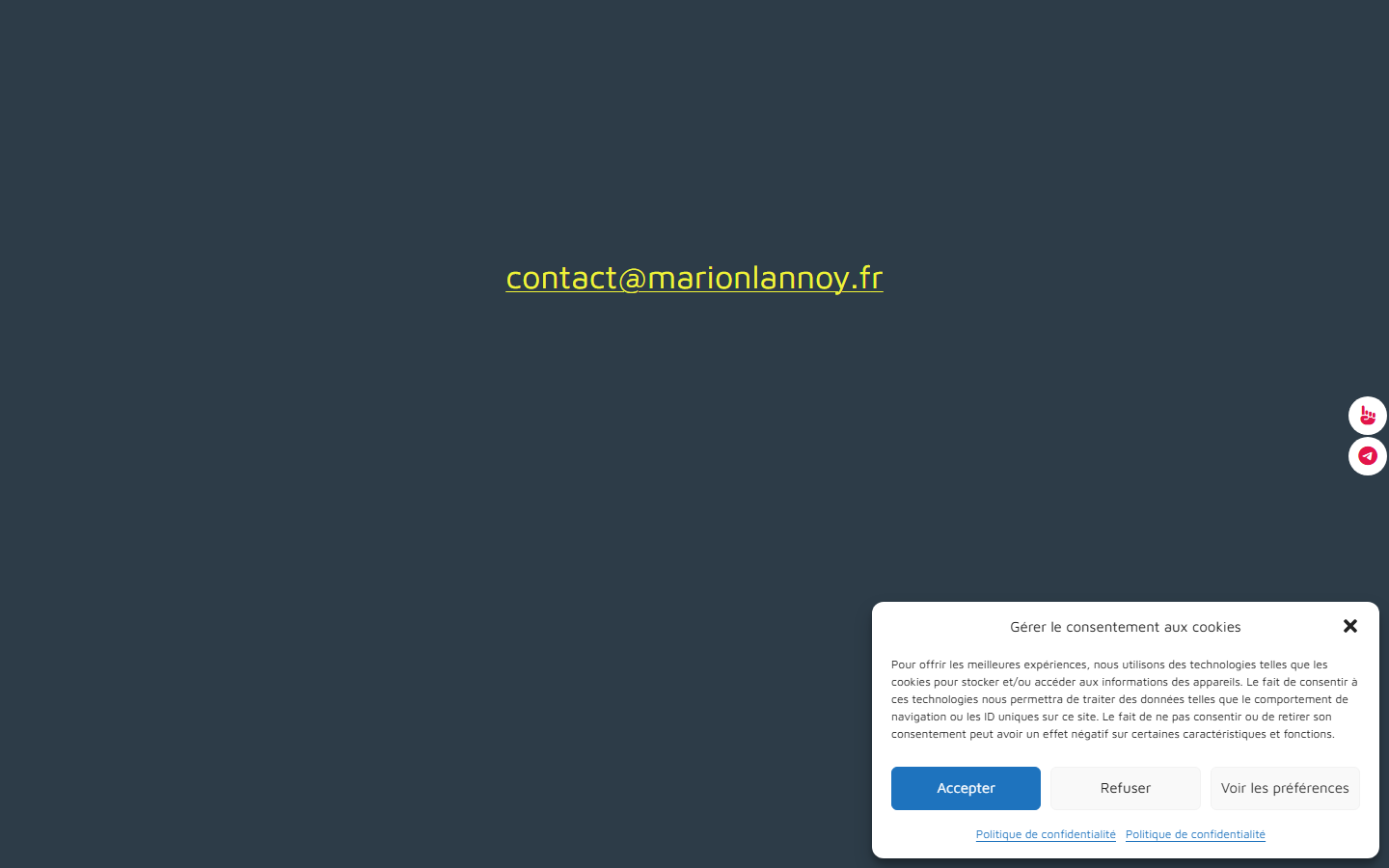 Aperçu du site de MARION LANNOY